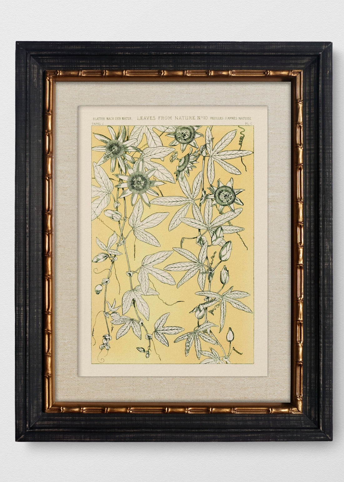 VINTAGE BAMBÚ IMPERIAL LINO CRUDO