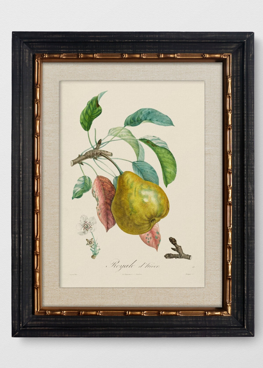 VINTAGE BAMBÚ IMPERIAL LINO CRUDO