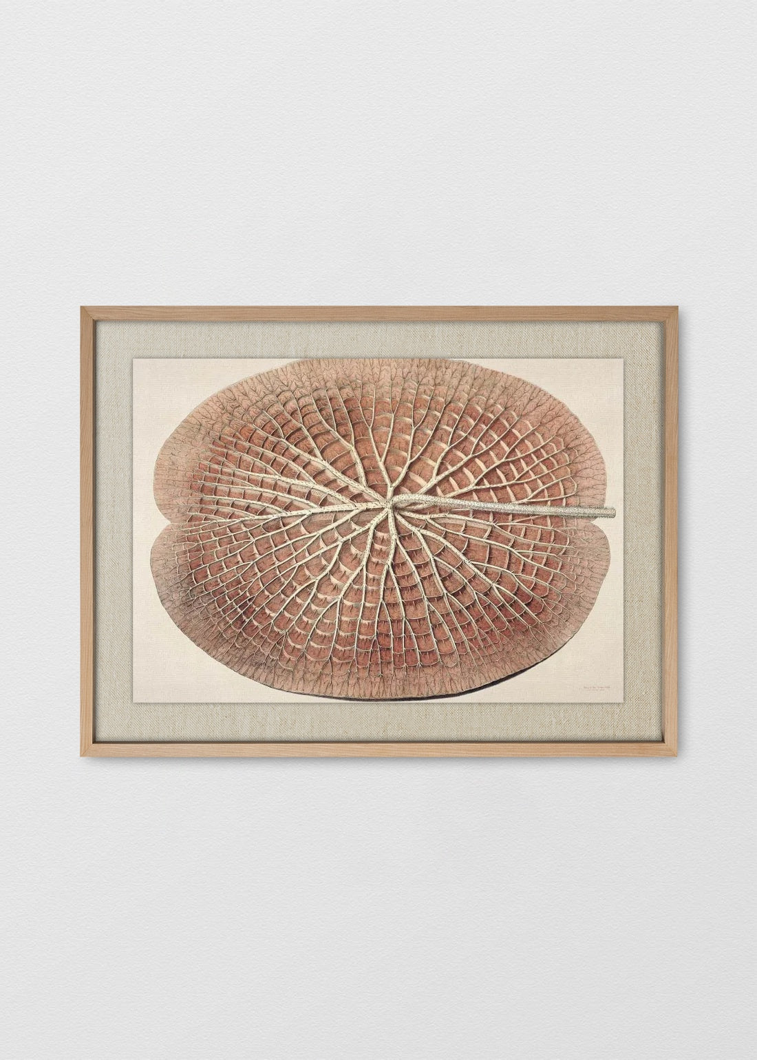 MAÑÍO NATURAL LINO CRUDO