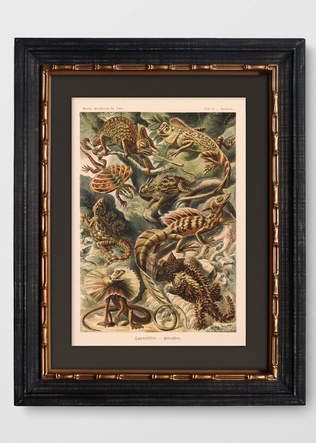 VINTAGE BAMBÚ IMPERIAL LINO NEGRO