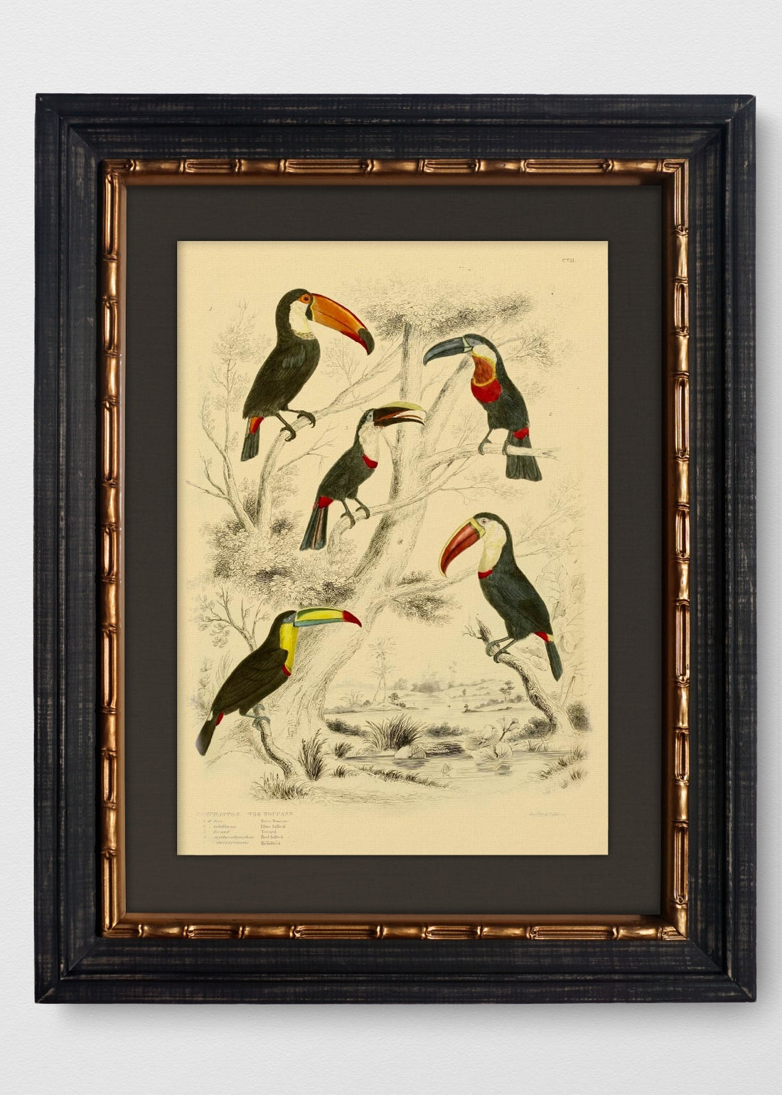 VINTAGE BAMBÚ IMPERIAL LINO NEGRO