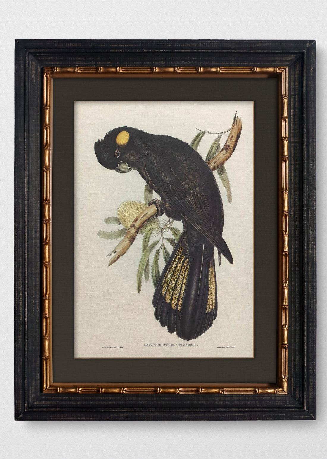 VINTAGE BAMBÚ IMPERIAL LINO NEGRO