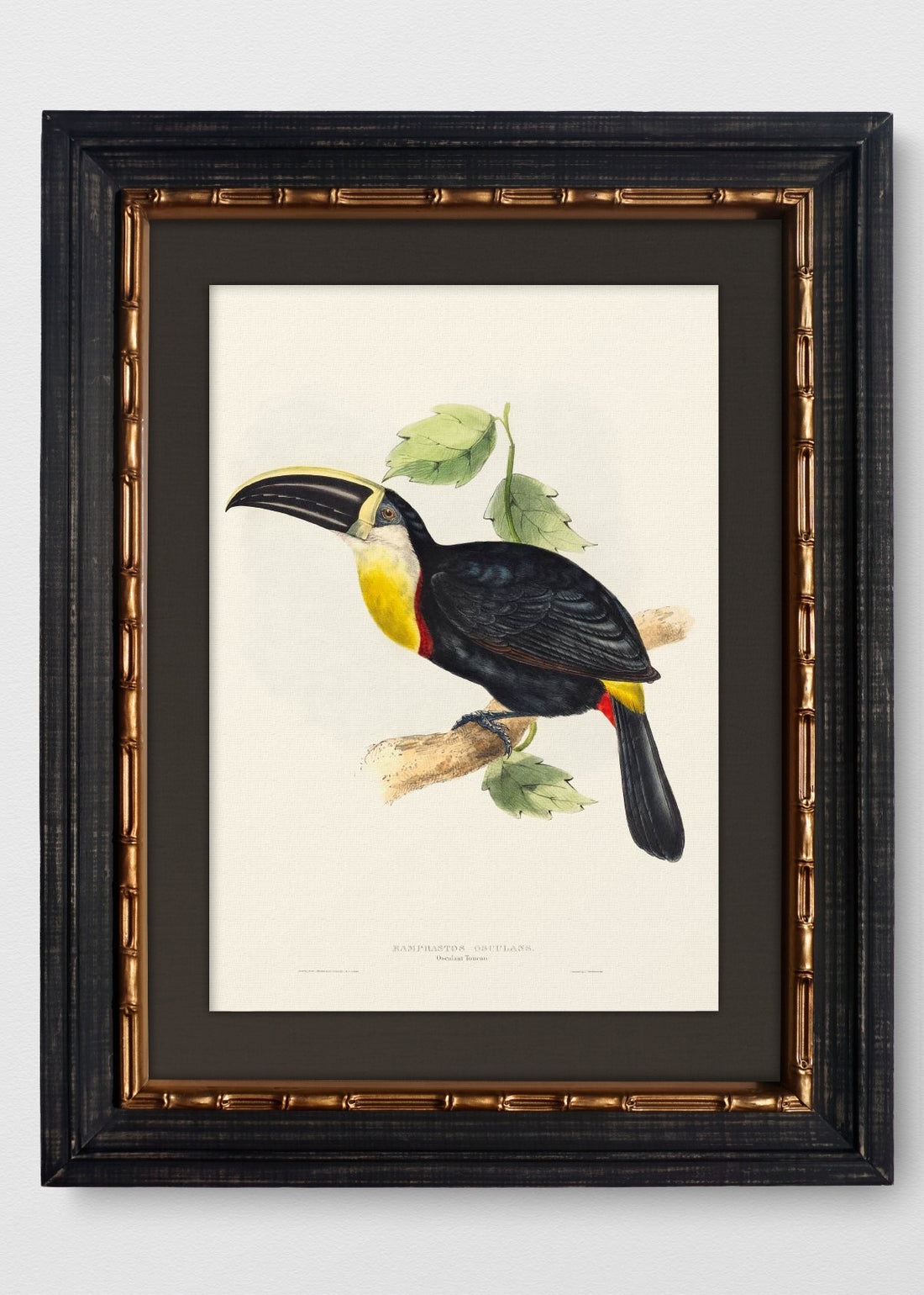 VINTAGE BAMBÚ IMPERIAL LINO NEGRO