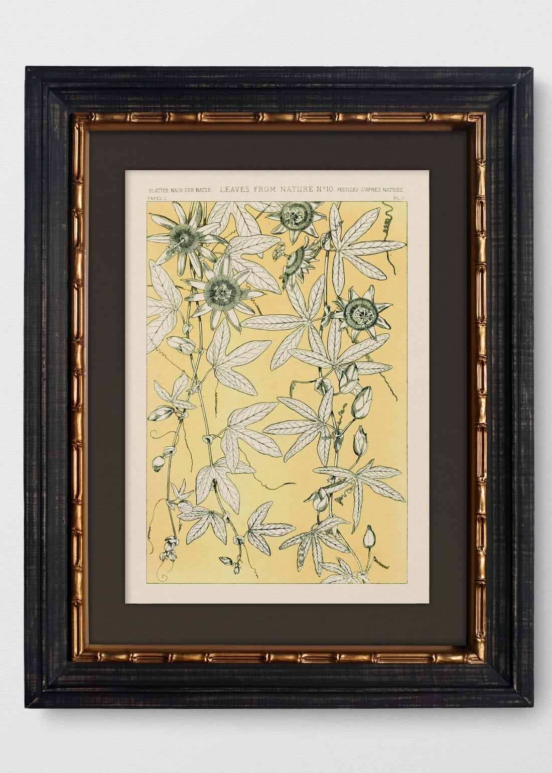 VINTAGE BAMBÚ IMPERIAL LINO NEGRO