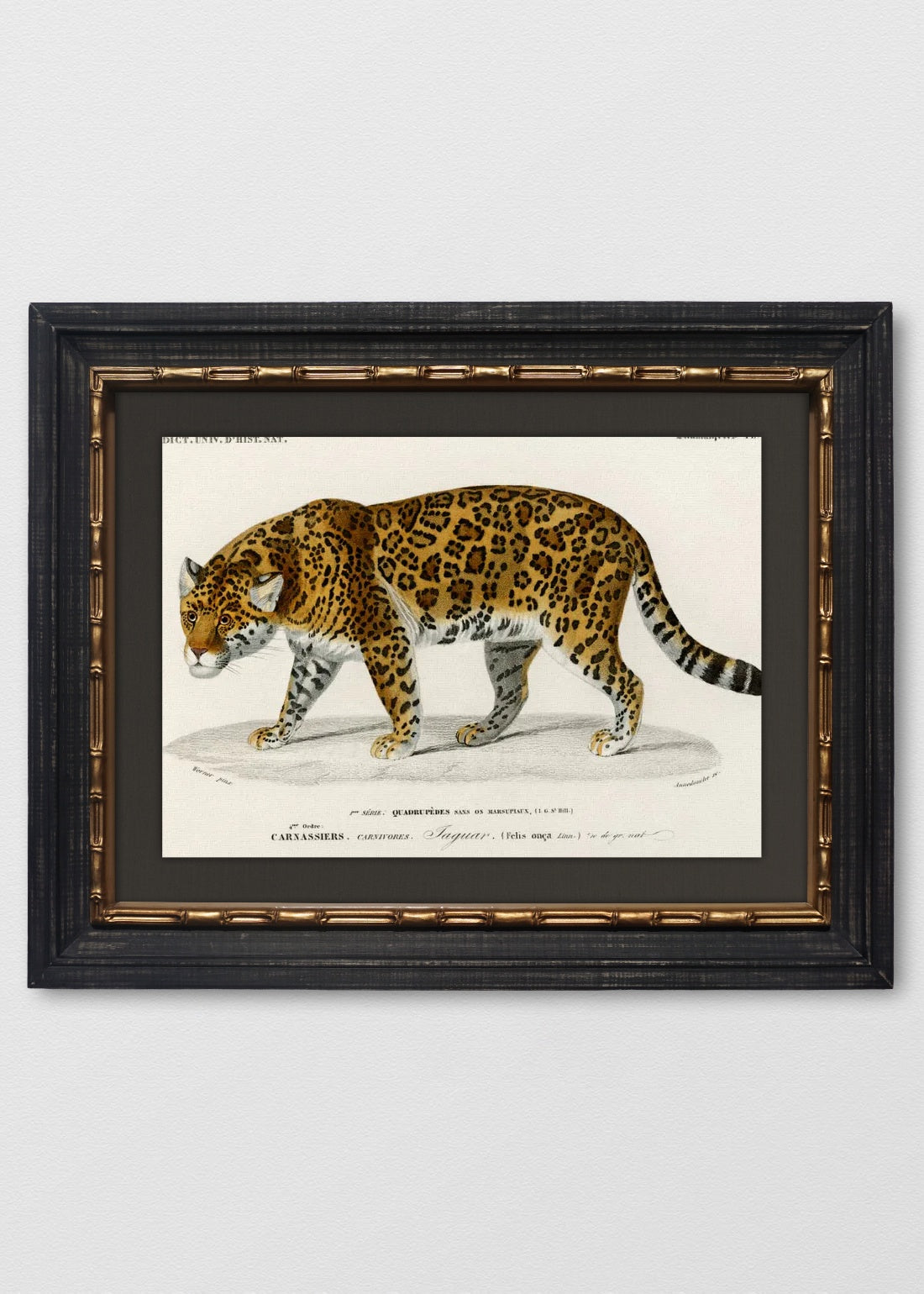 VINTAGE BAMBÚ IMPERIAL LINO NEGRO