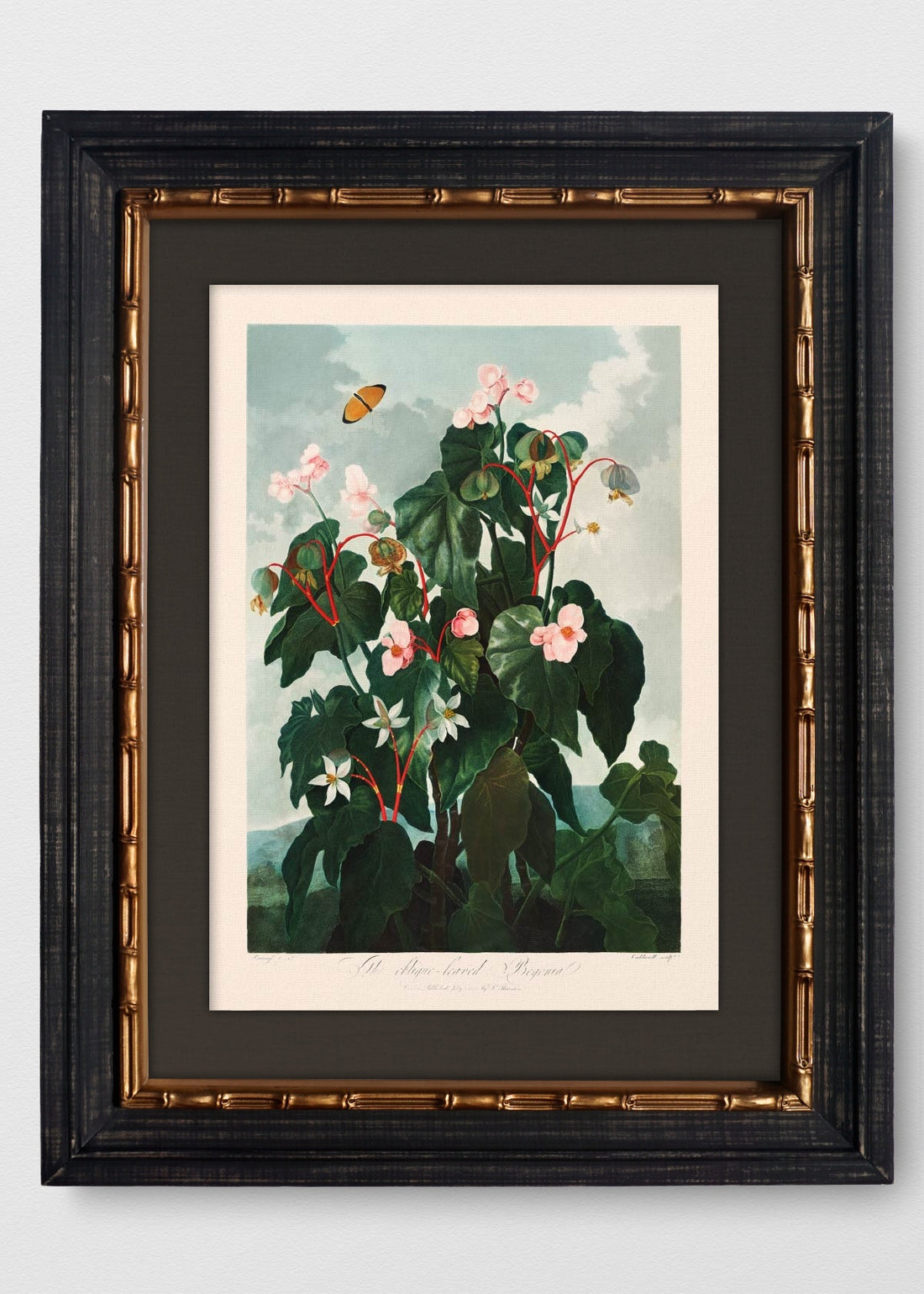 VINTAGE BAMBÚ IMPERIAL LINO NEGRO