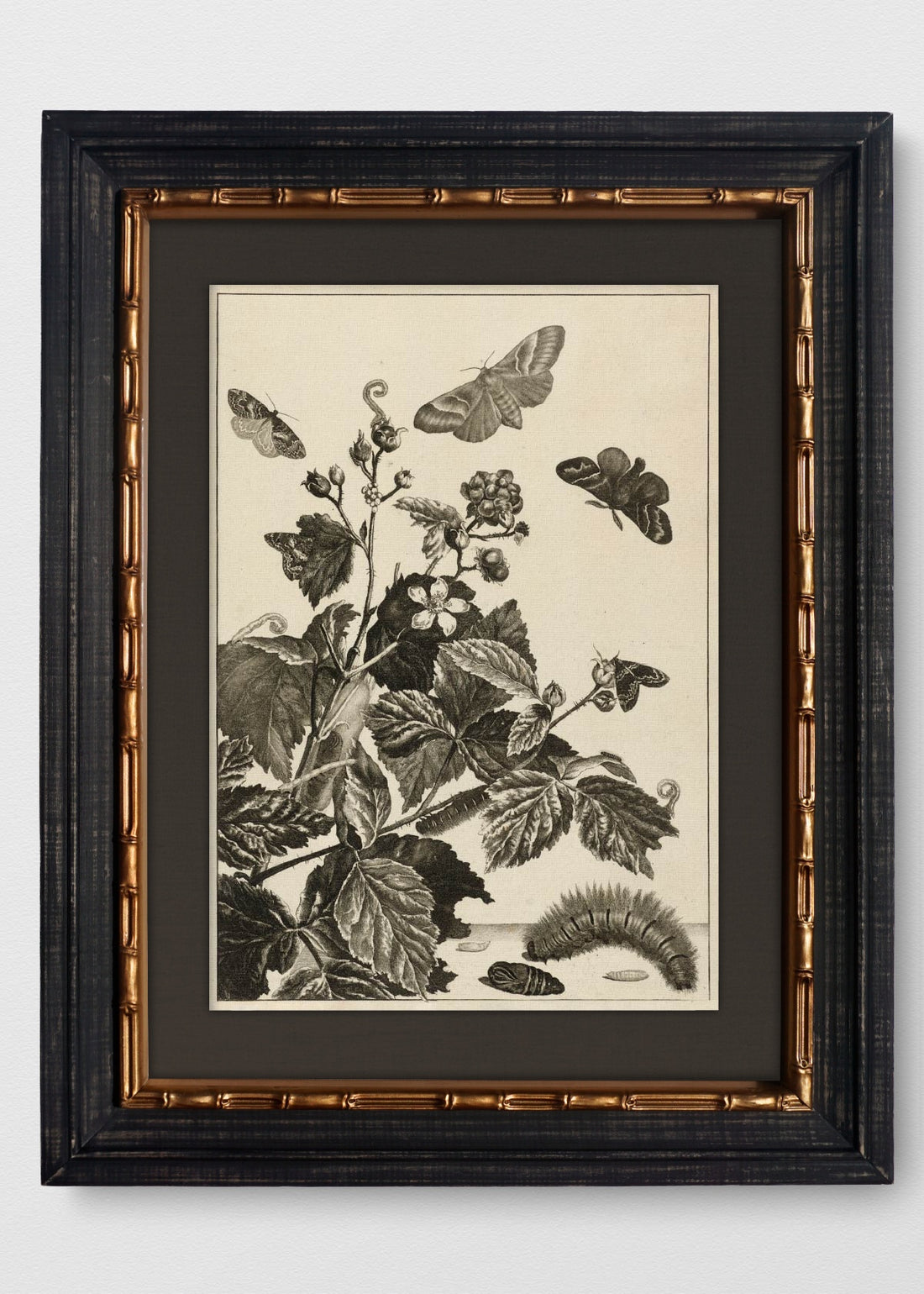 VINTAGE BAMBÚ IMPERIAL LINO NEGRO