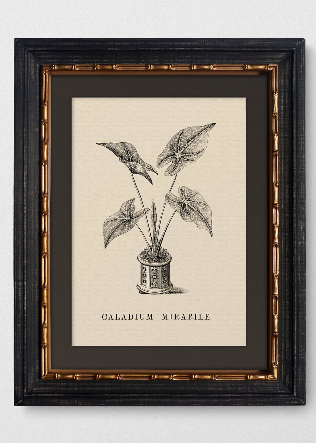 VINTAGE BAMBÚ IMPERIAL LINO NEGRO