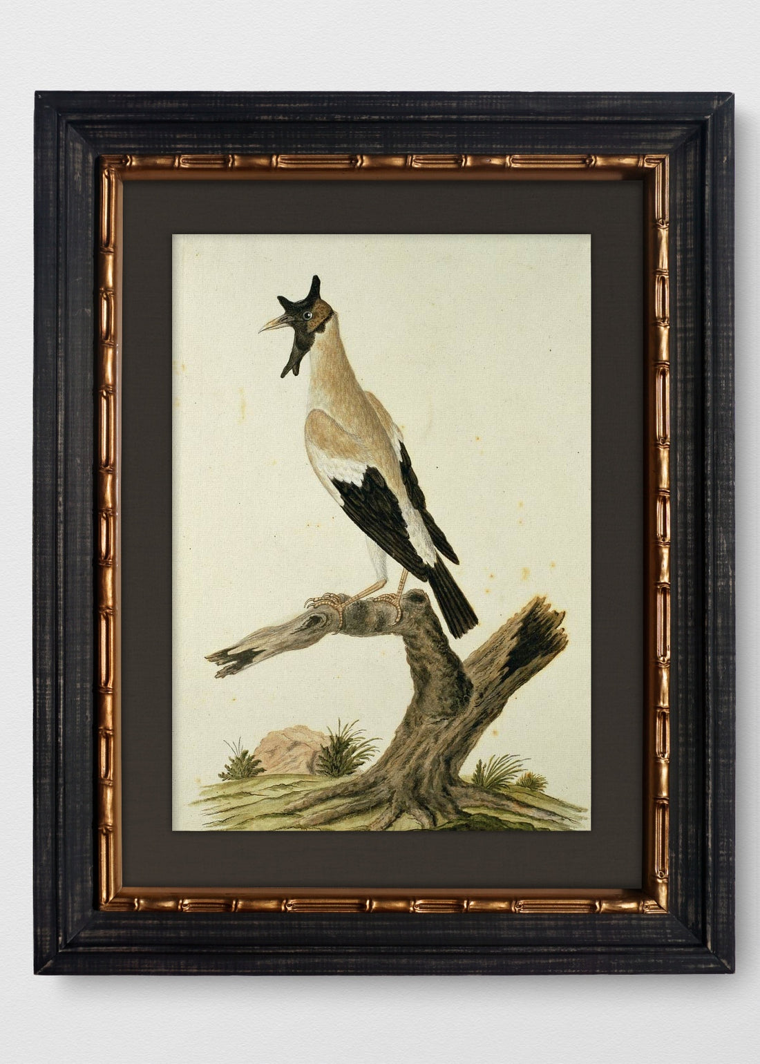 VINTAGE BAMBÚ IMPERIAL LINO NEGRO