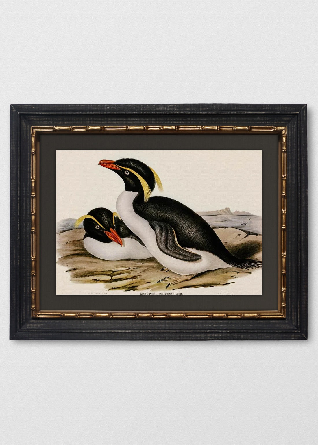 VINTAGE BAMBÚ IMPERIAL LINO NEGRO