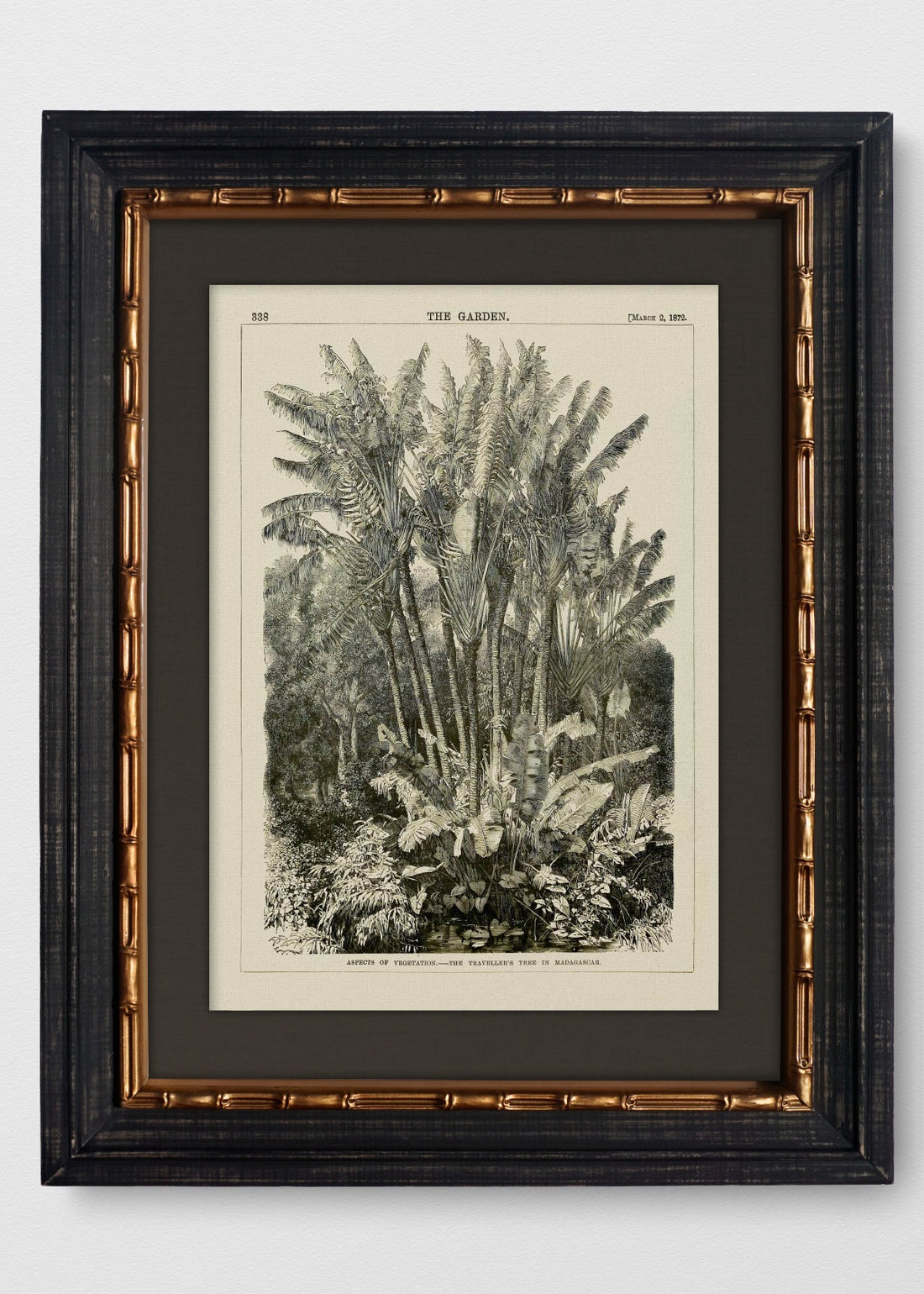 VINTAGE BAMBÚ IMPERIAL LINO NEGRO