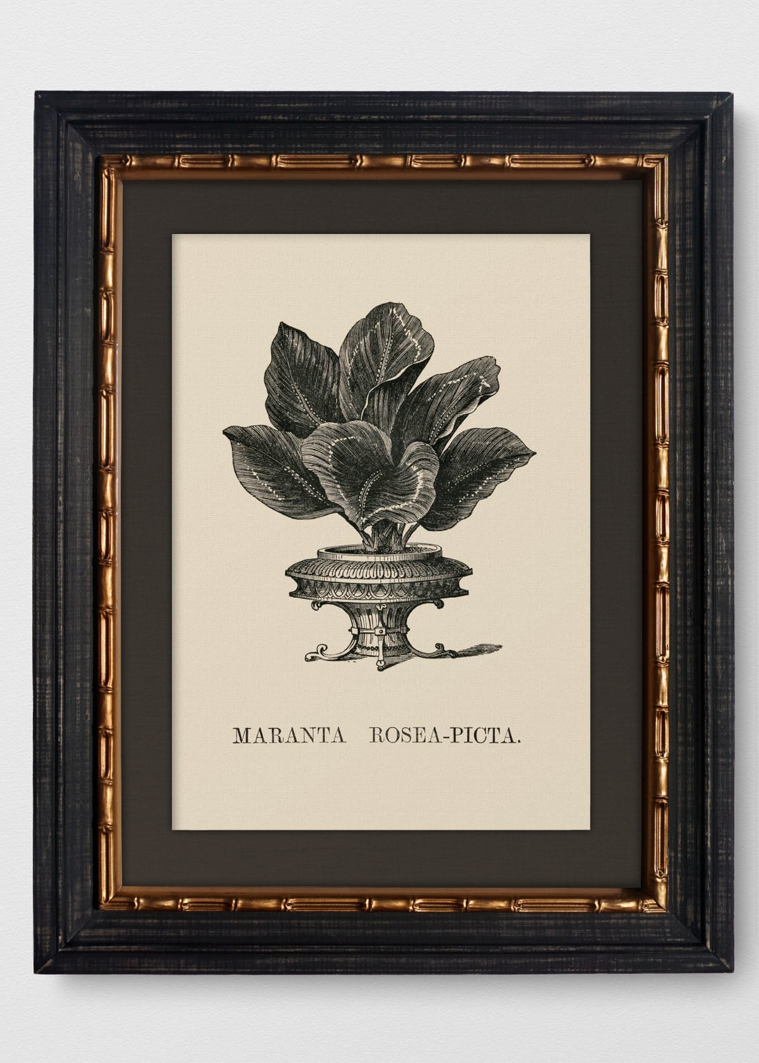 VINTAGE BAMBÚ IMPERIAL LINO NEGRO