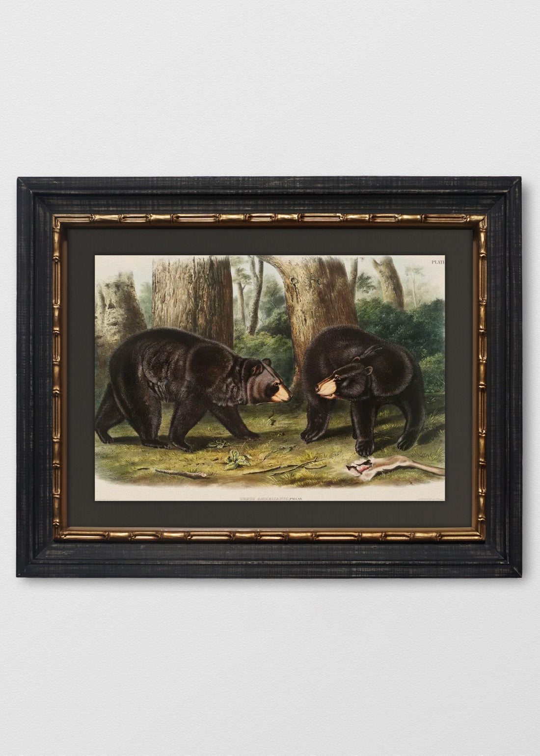 VINTAGE BAMBÚ IMPERIAL LINO NEGRO
