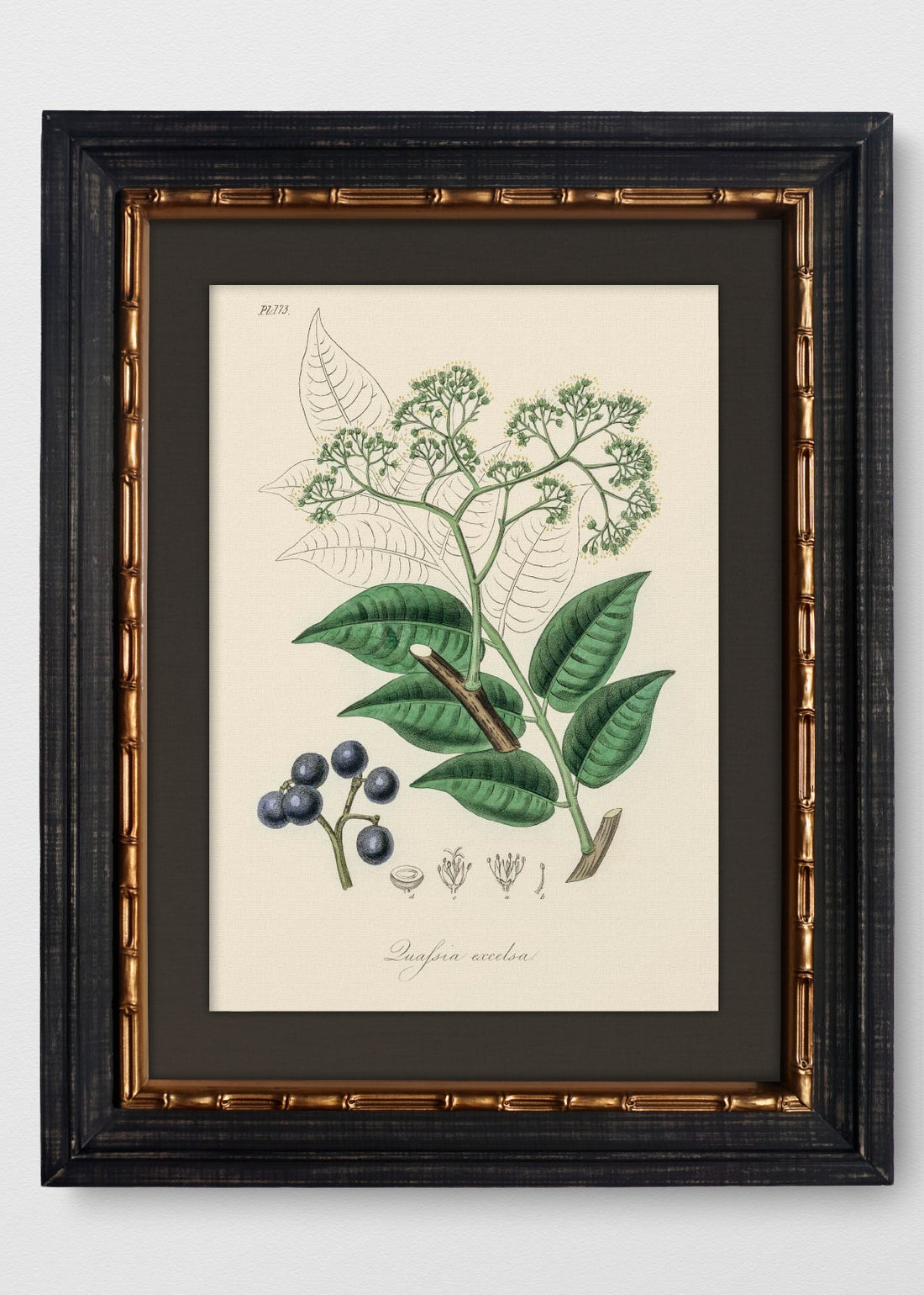 VINTAGE BAMBÚ IMPERIAL LINO NEGRO