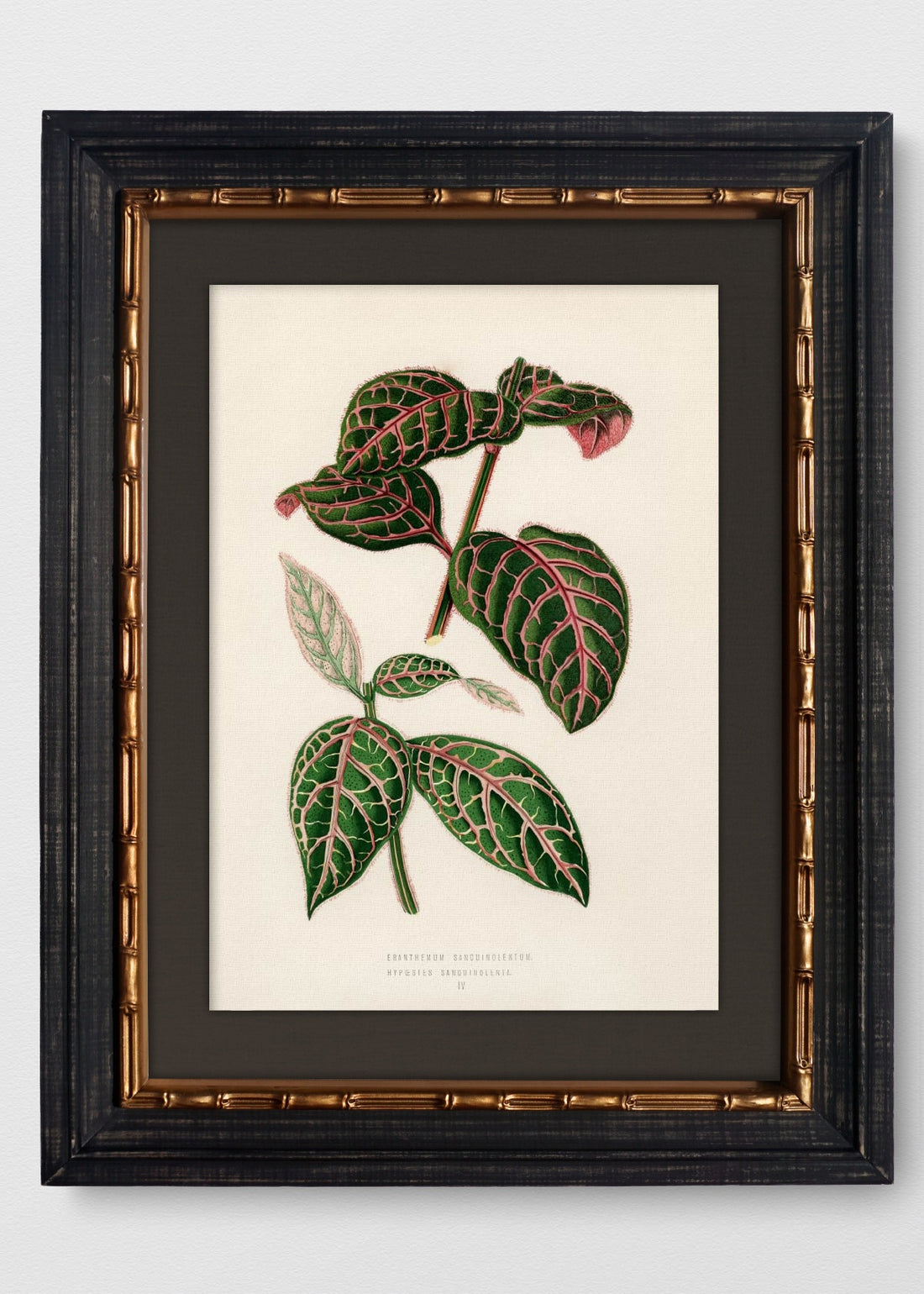 VINTAGE BAMBÚ IMPERIAL LINO NEGRO