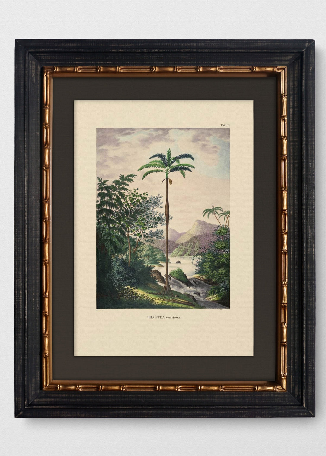 VINTAGE BAMBÚ IMPERIAL LINO NEGRO