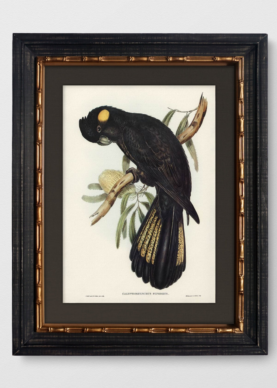 VINTAGE BAMBÚ IMPERIAL LINO NEGRO