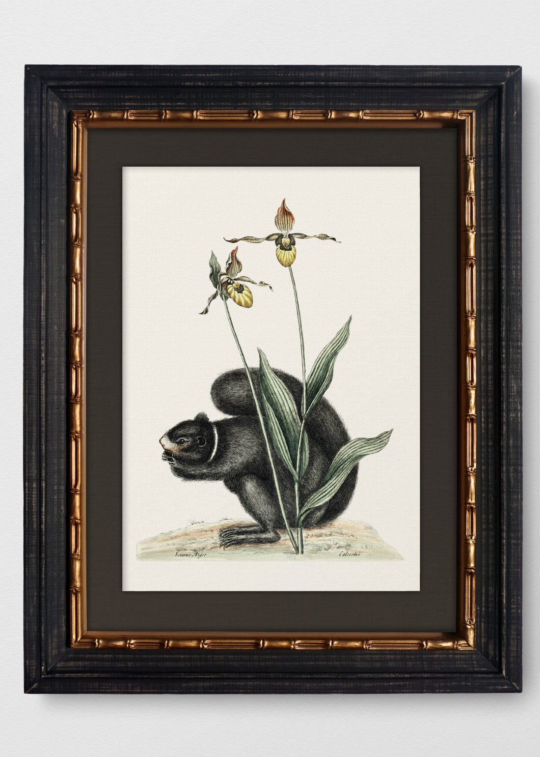 VINTAGE BAMBÚ IMPERIAL LINO NEGRO