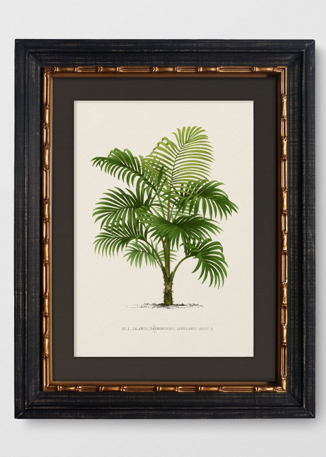 VINTAGE BAMBÚ IMPERIAL LINO NEGRO
