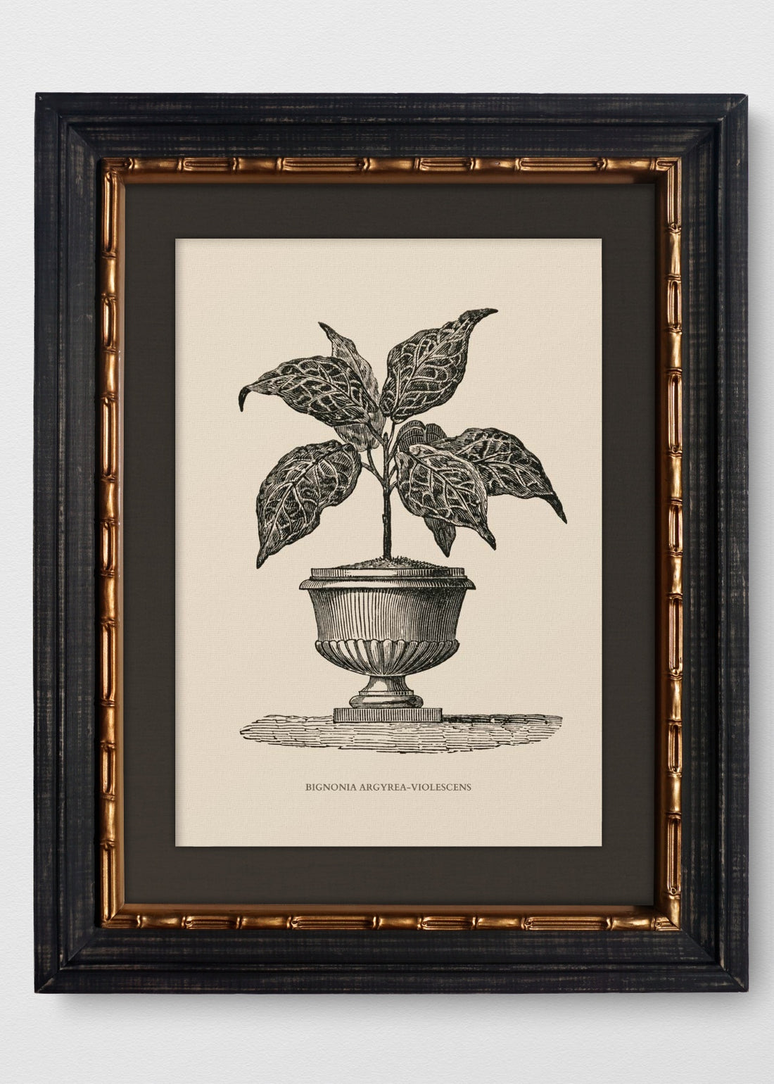 VINTAGE BAMBÚ IMPERIAL LINO NEGRO
