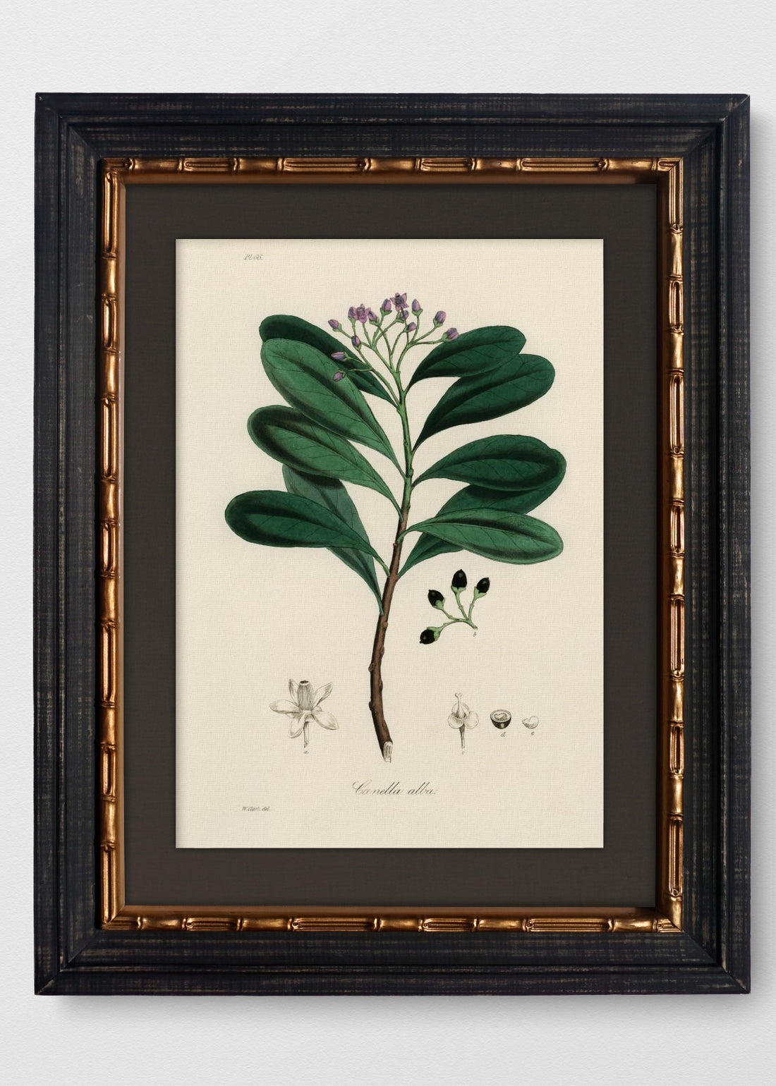 VINTAGE BAMBÚ IMPERIAL LINO NEGRO
