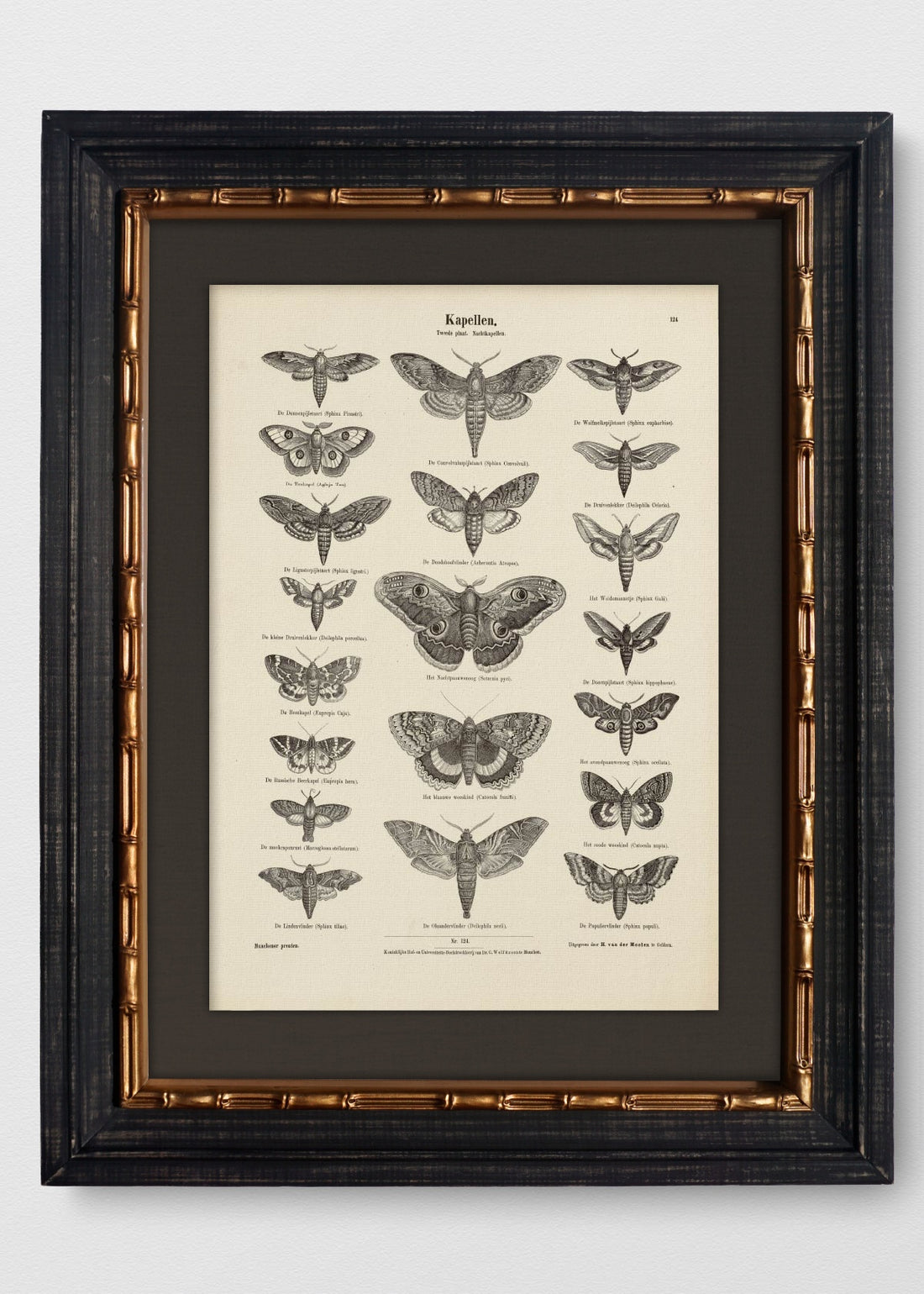 VINTAGE BAMBÚ IMPERIAL LINO NEGRO