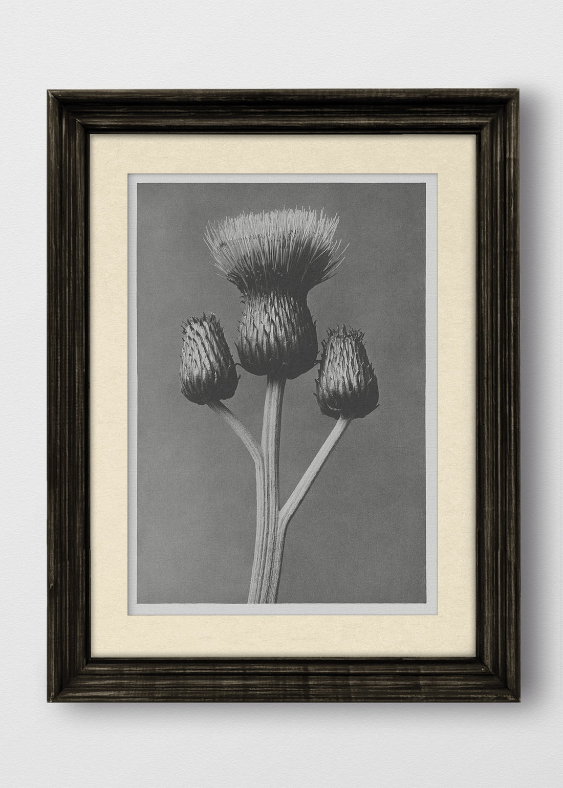 VINTAGE NEGRO BLANCO INVIERNO