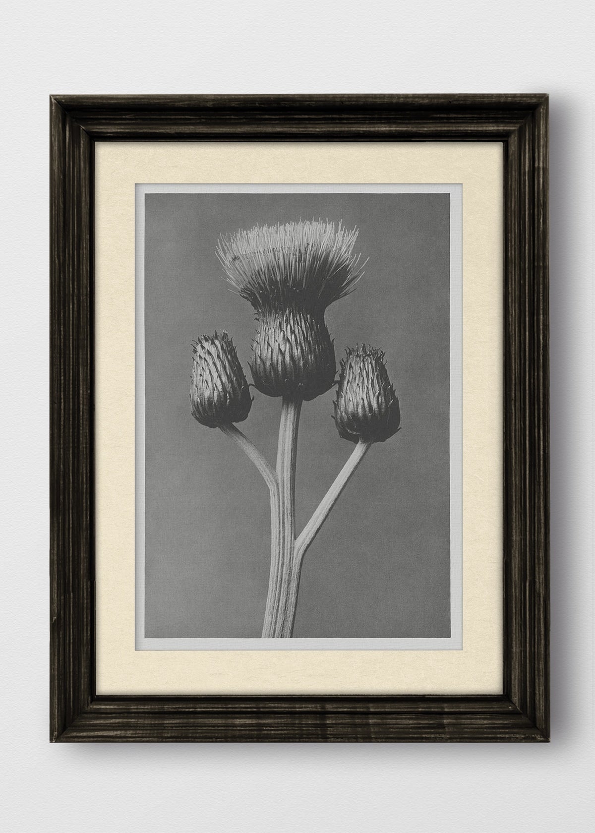 VINTAGE NEGRO BLANCO INVIERNO