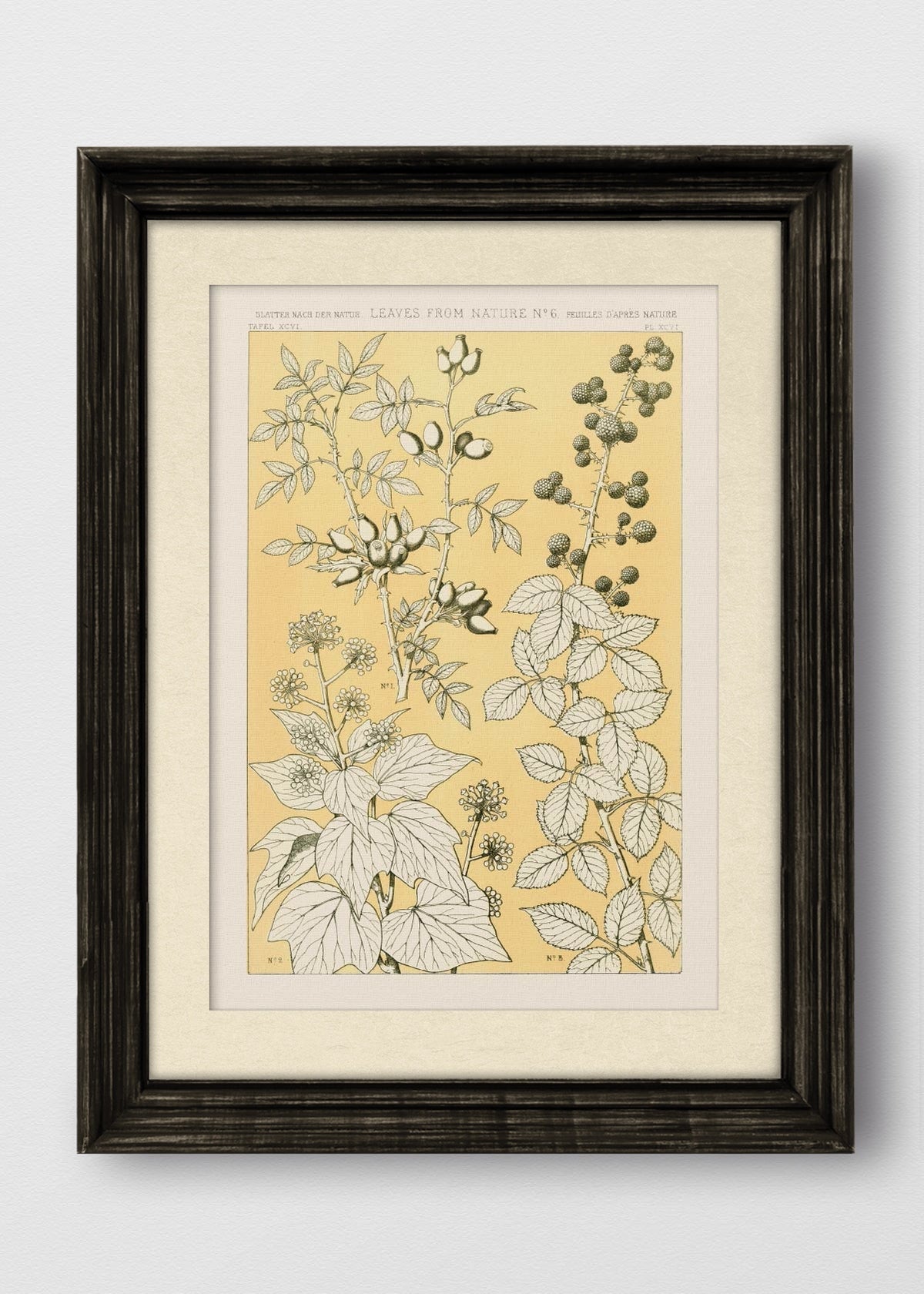 VINTAGE NEGRO BLANCO INVIERNO