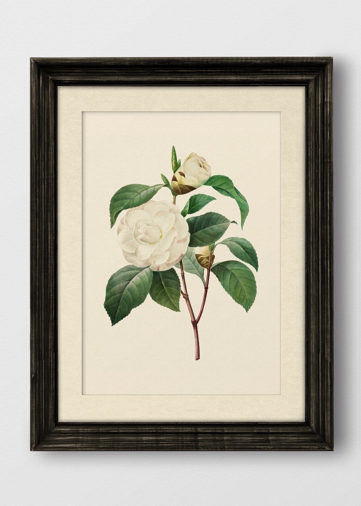VINTAGE NEGRO BLANCO INVIERNO