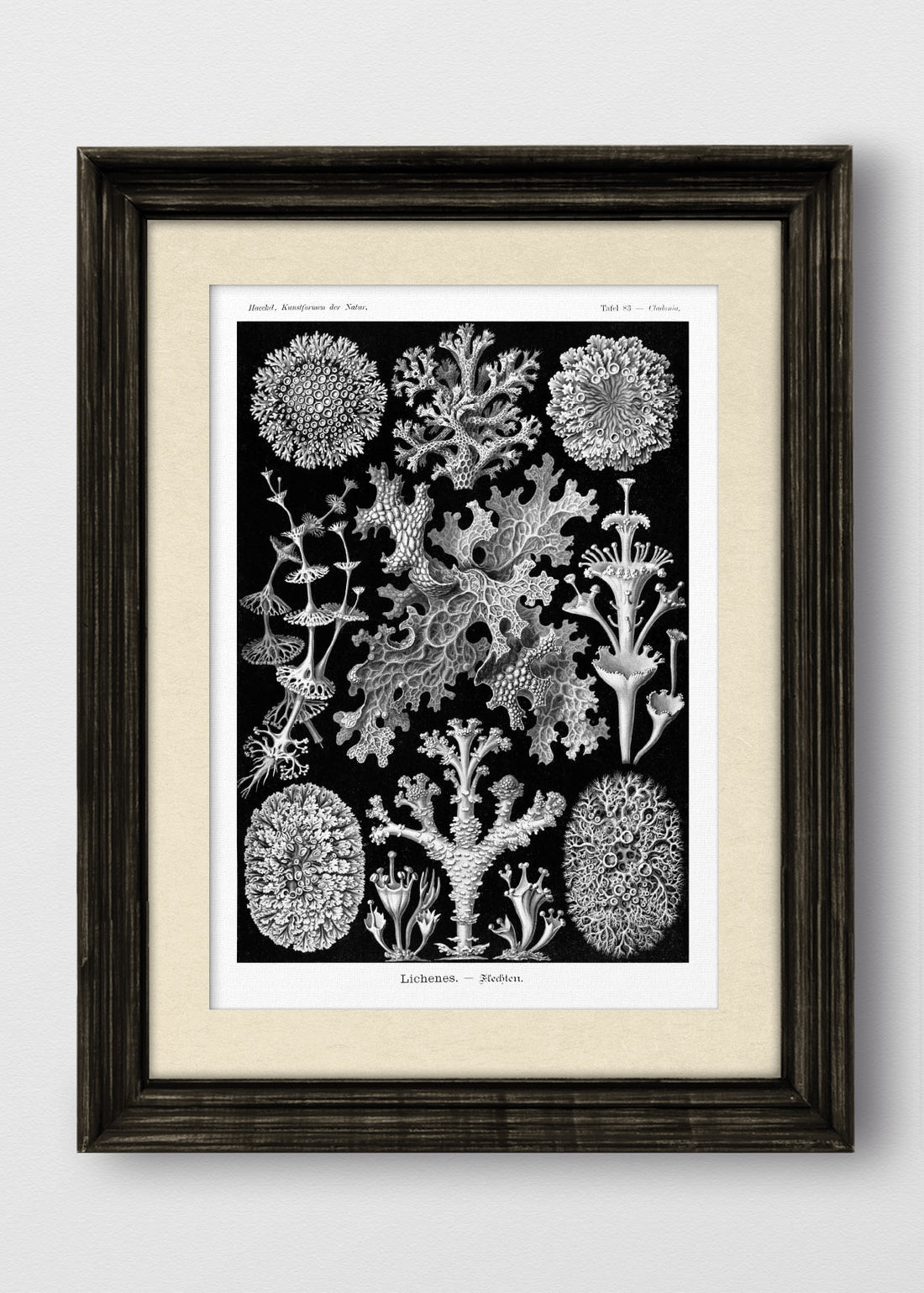 VINTAGE NEGRO BLANCO INVIERNO