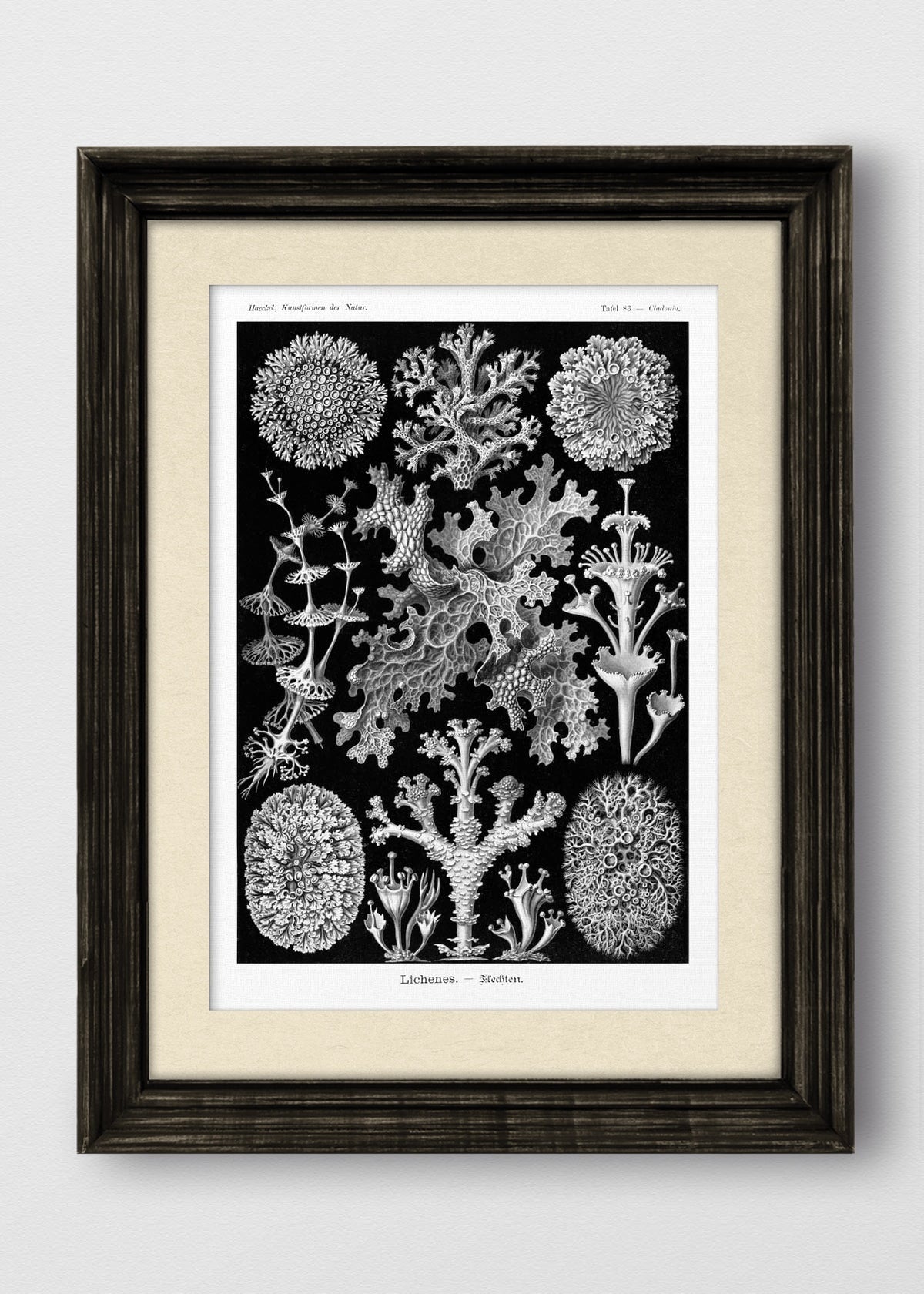 VINTAGE NEGRO BLANCO INVIERNO