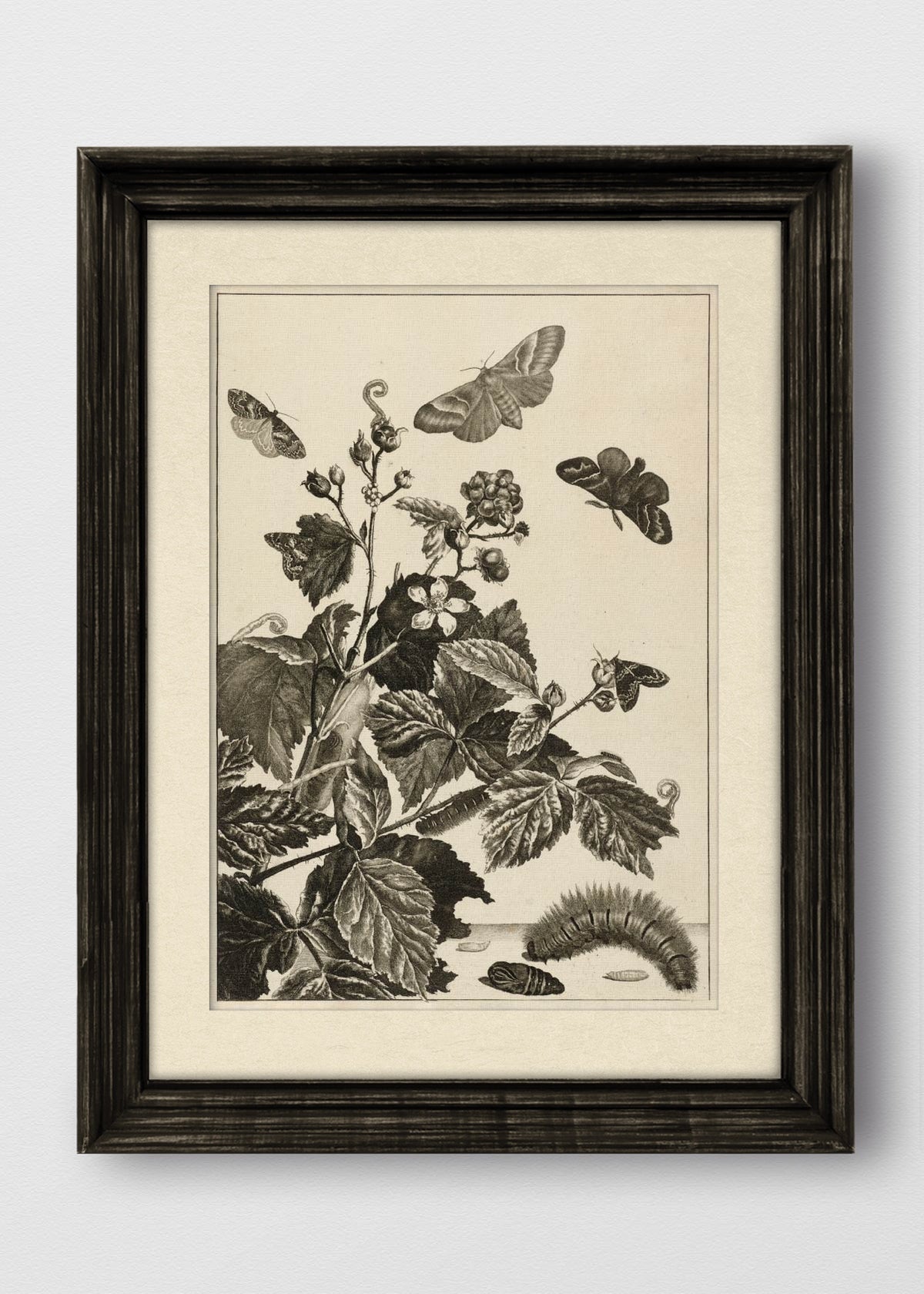 VINTAGE NEGRO BLANCO INVIERNO