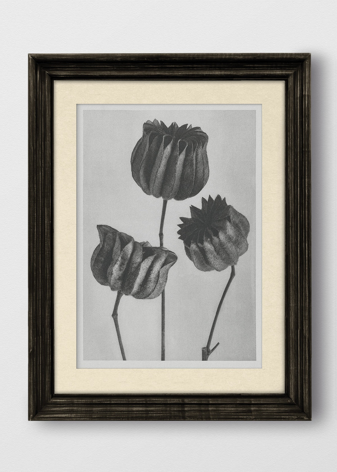 VINTAGE NEGRO BLANCO INVIERNO