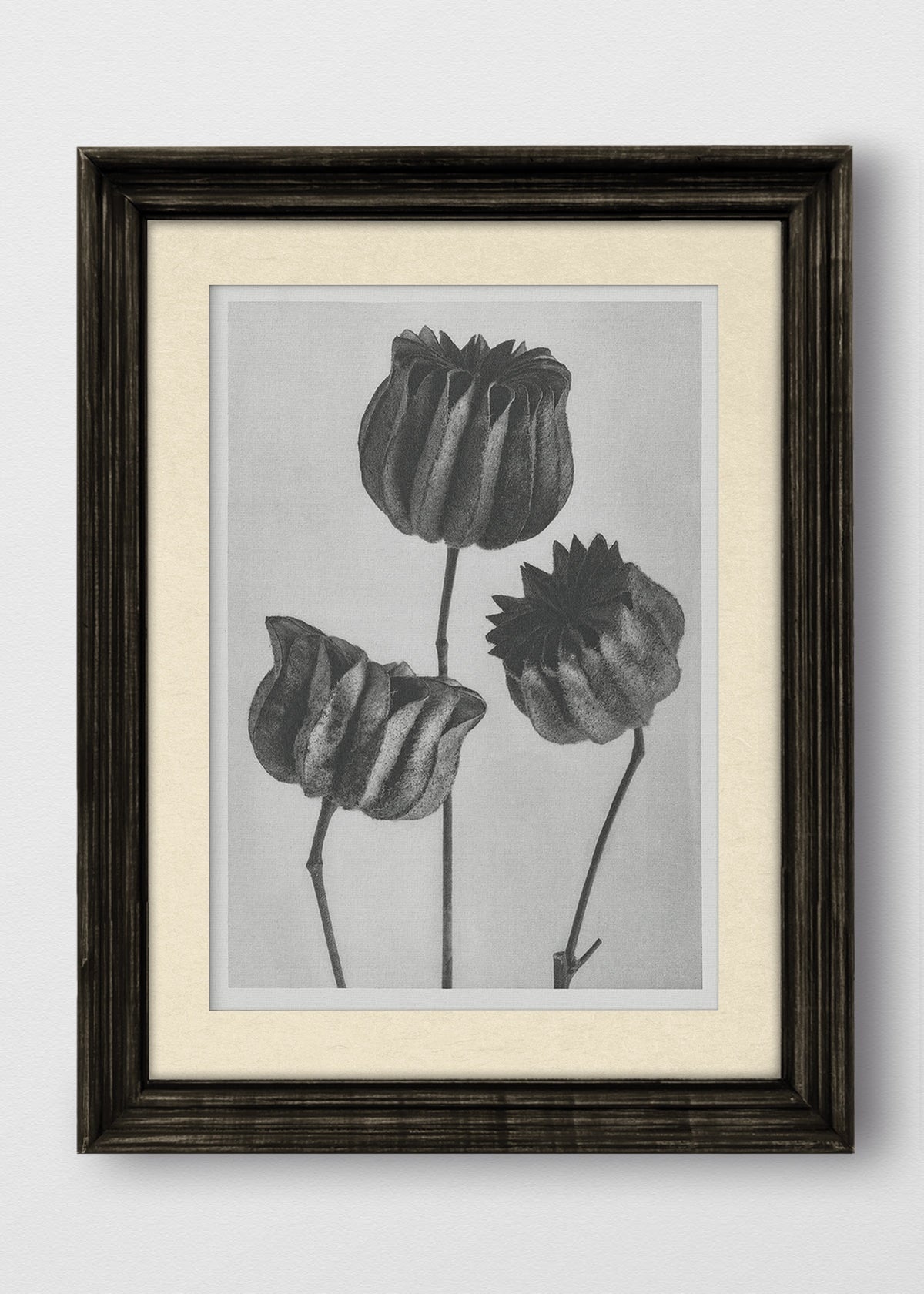 VINTAGE NEGRO BLANCO INVIERNO