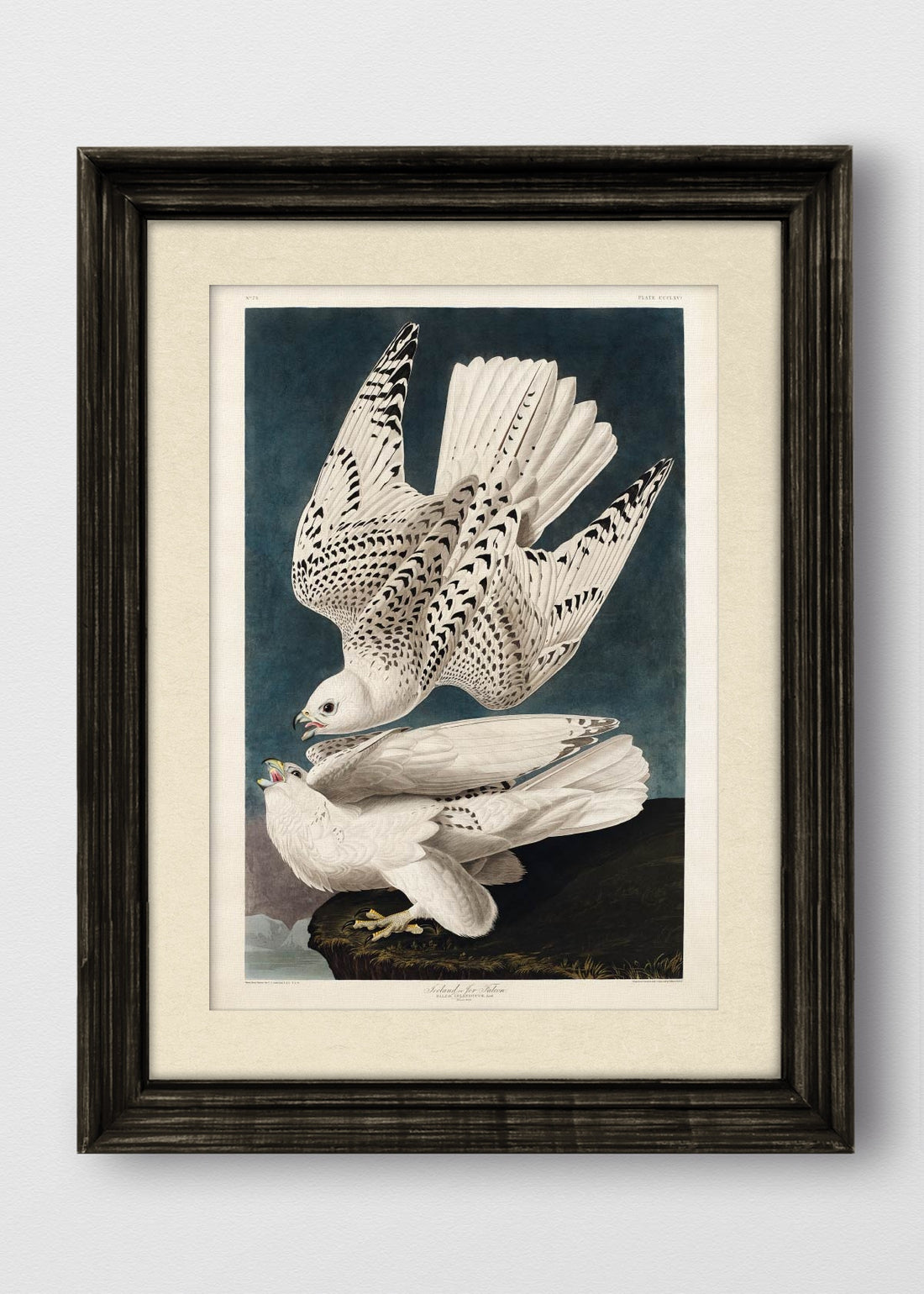 VINTAGE NEGRO BLANCO INVIERNO