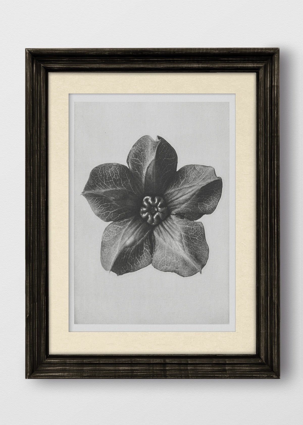 VINTAGE NEGRO BLANCO INVIERNO