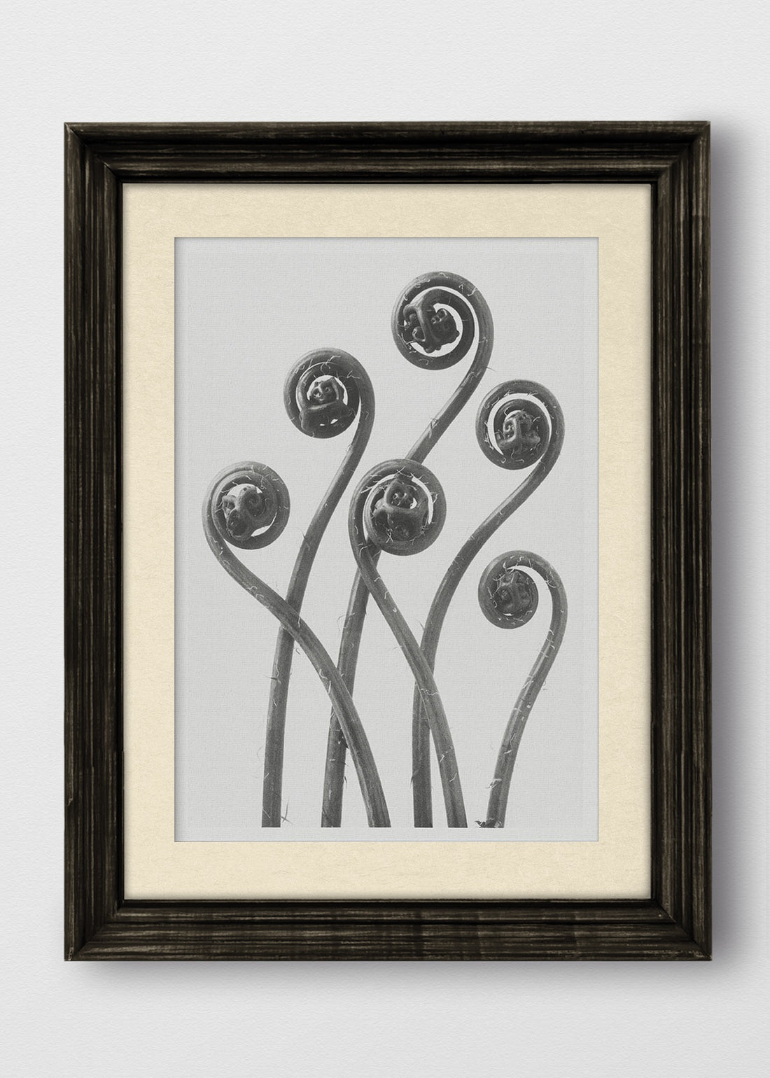 VINTAGE NEGRO BLANCO INVIERNO