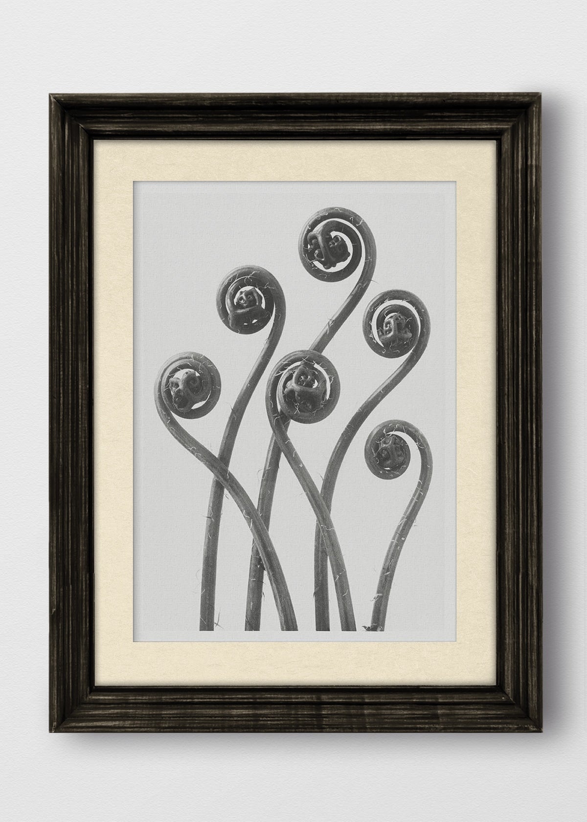 VINTAGE NEGRO BLANCO INVIERNO