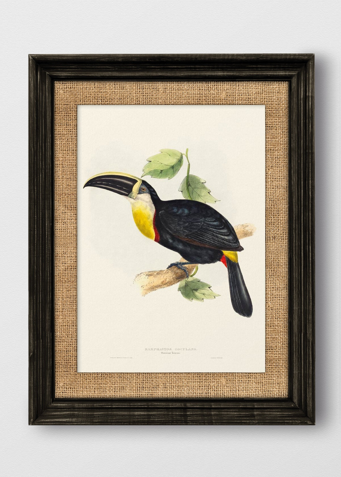 VINTAGE NEGRO ARPILLERA