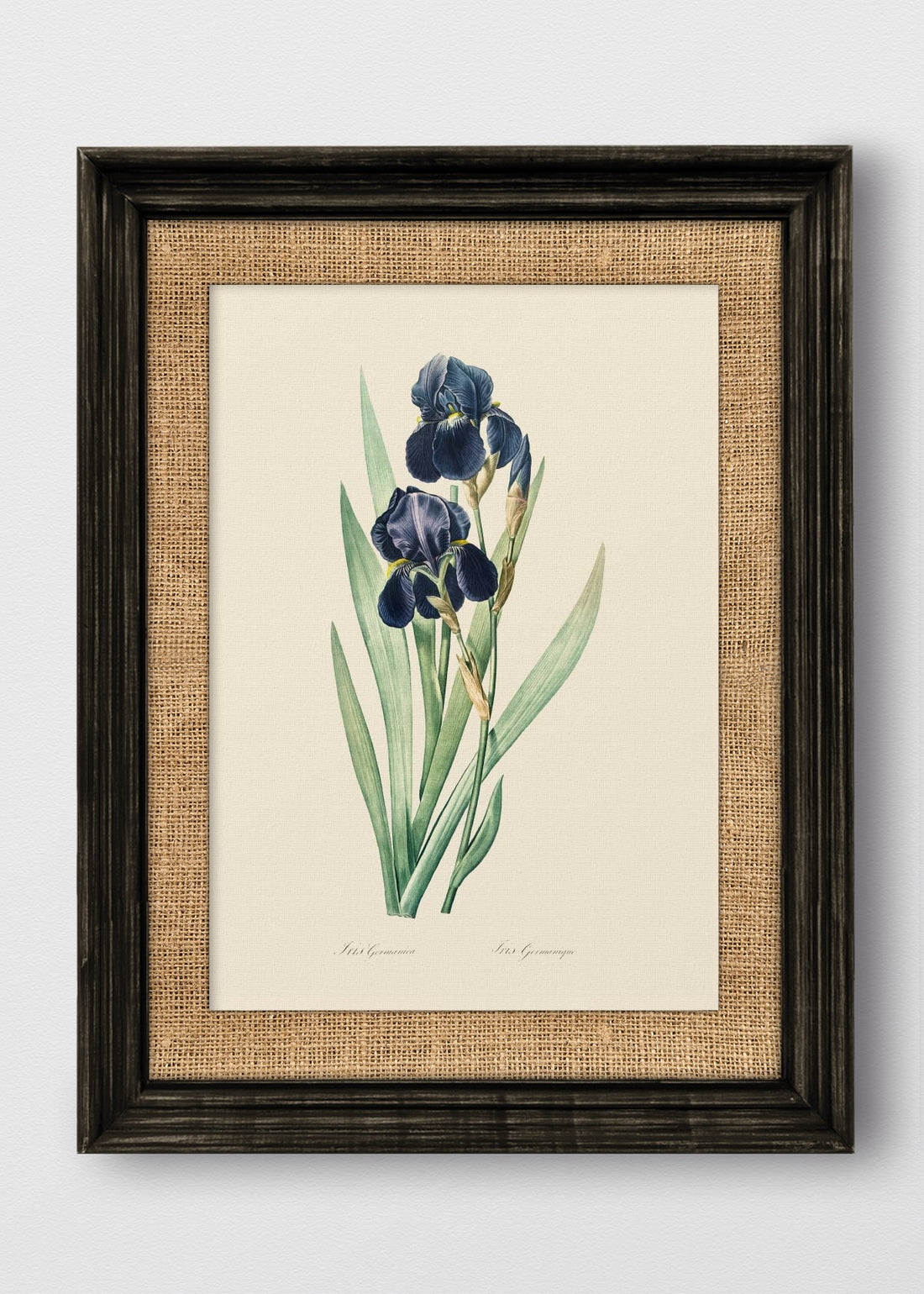 VINTAGE NEGRO ARPILLERA