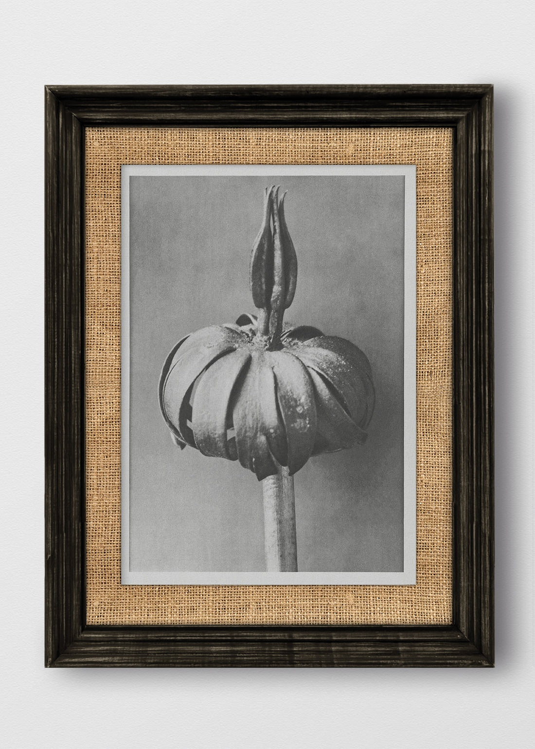 VINTAGE NEGRO ARPILLERA