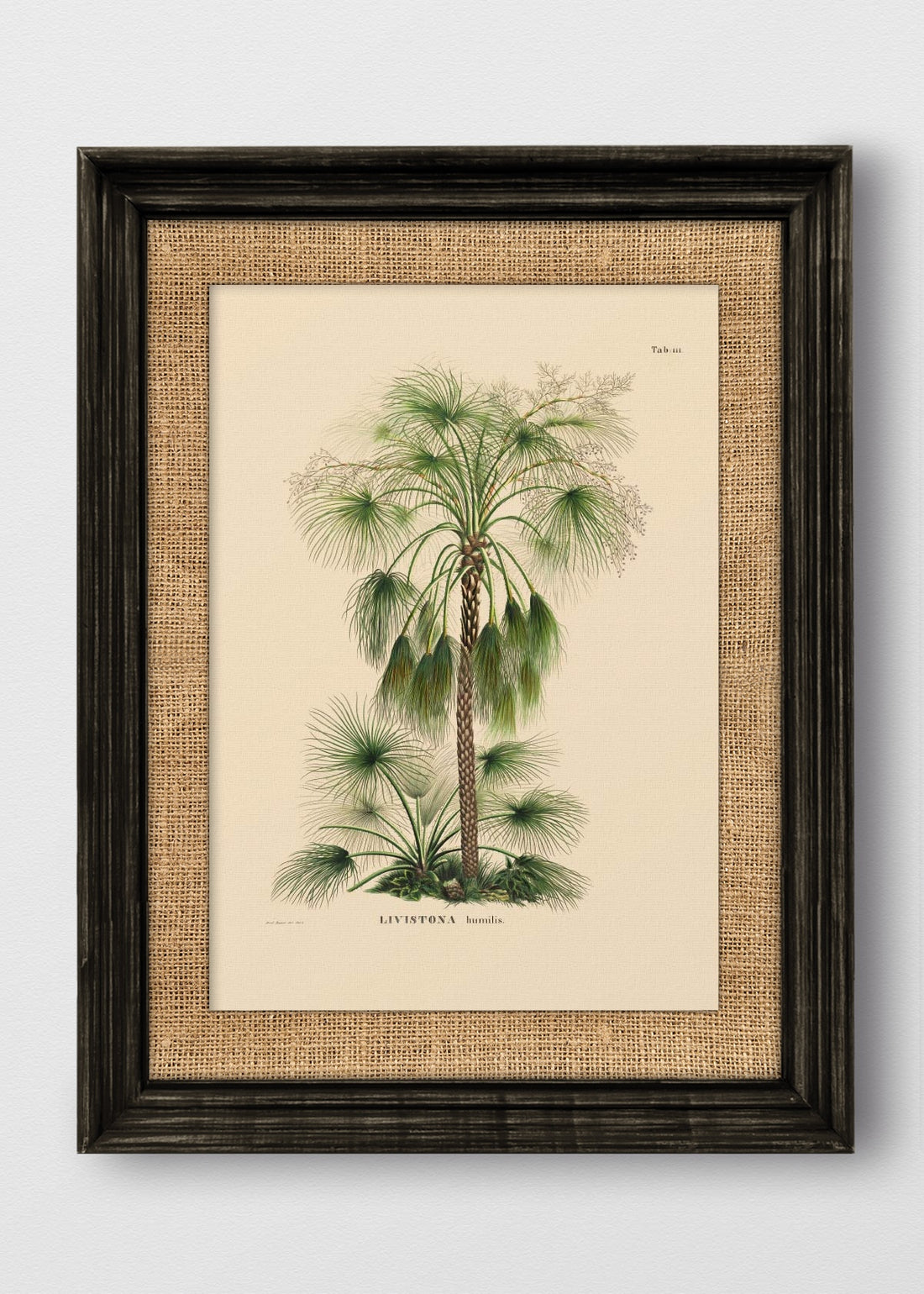 VINTAGE NEGRO ARPILLERA