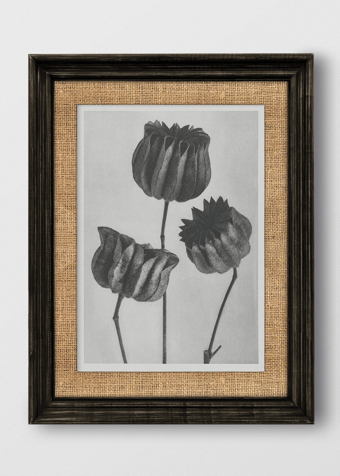 VINTAGE NEGRO ARPILLERA