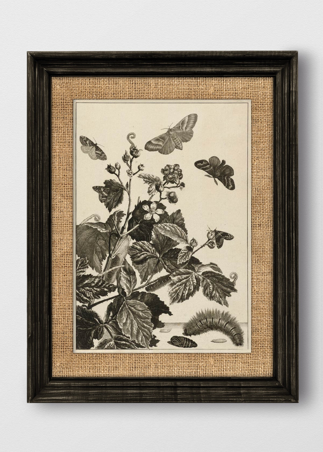 VINTAGE NEGRO ARPILLERA