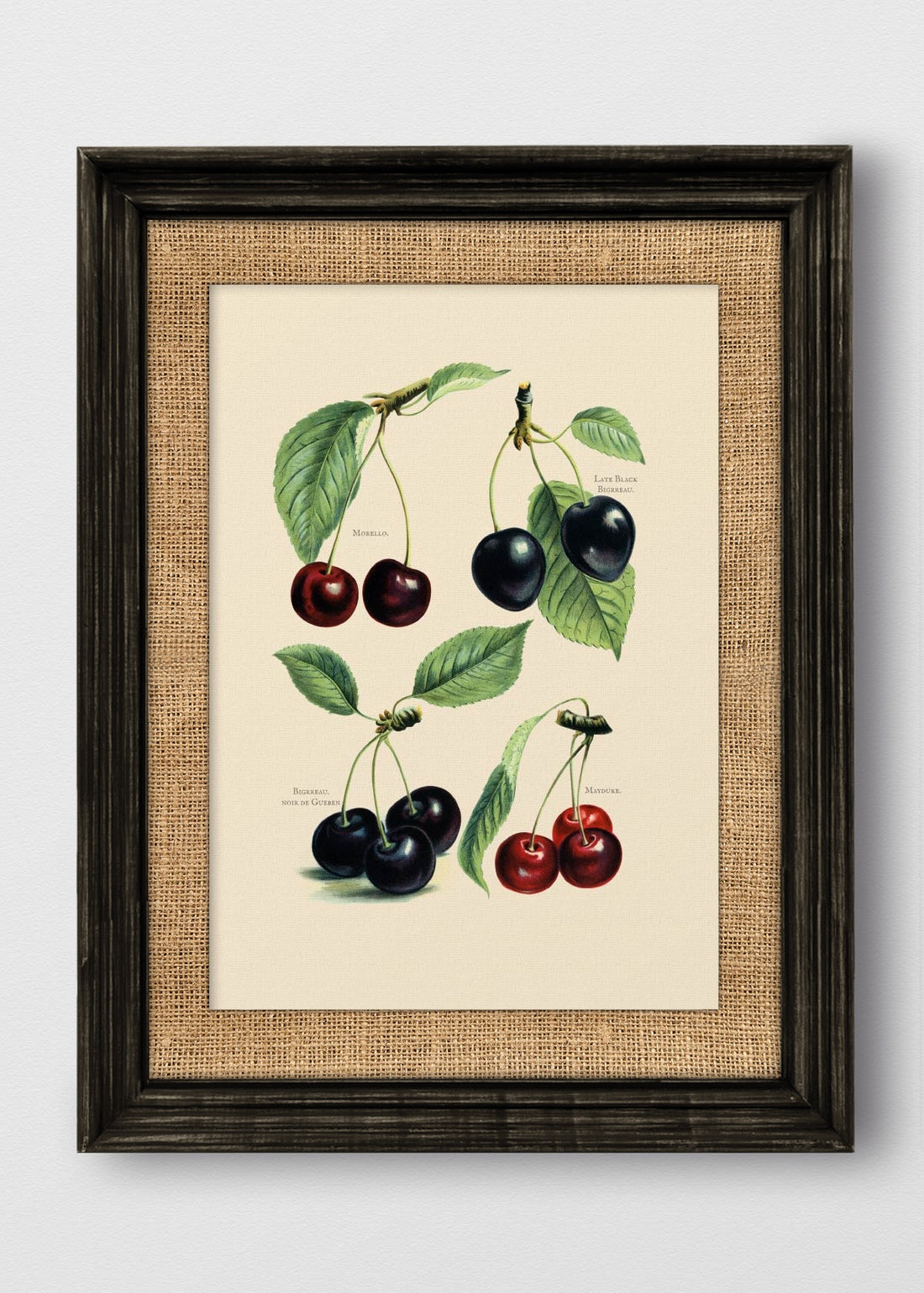 VINTAGE NEGRO ARPILLERA
