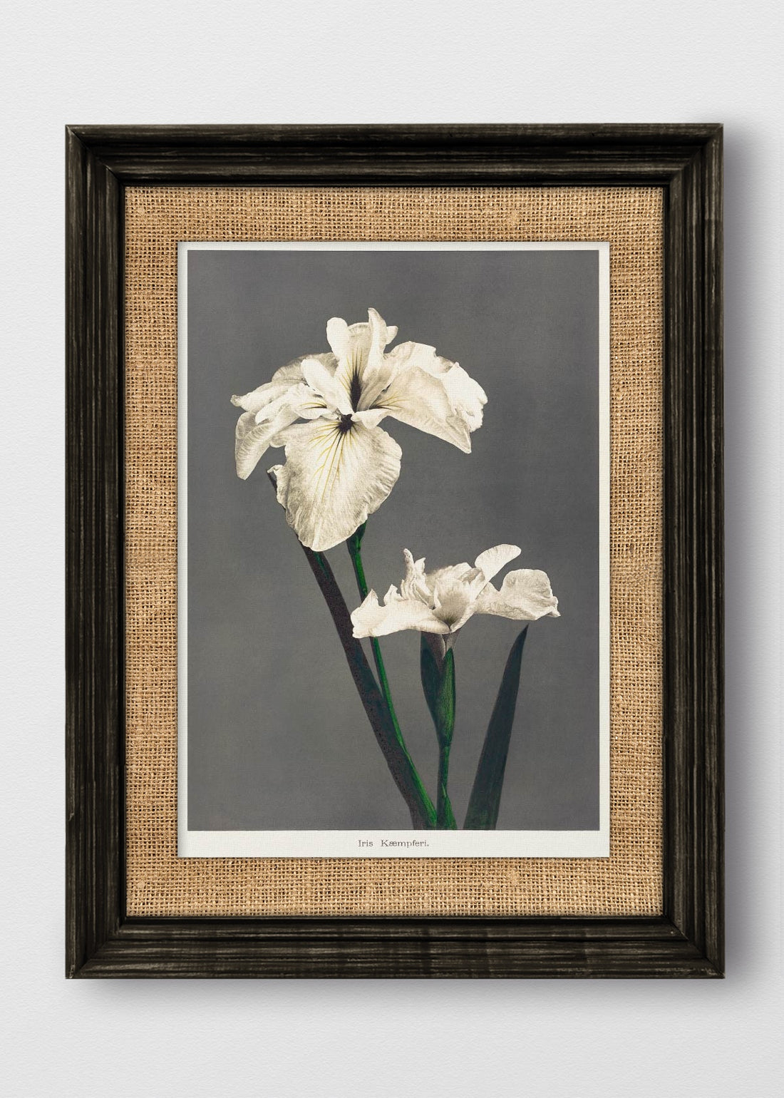 VINTAGE NEGRO ARPILLERA