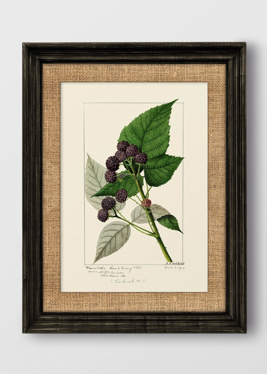 VINTAGE NEGRO ARPILLERA