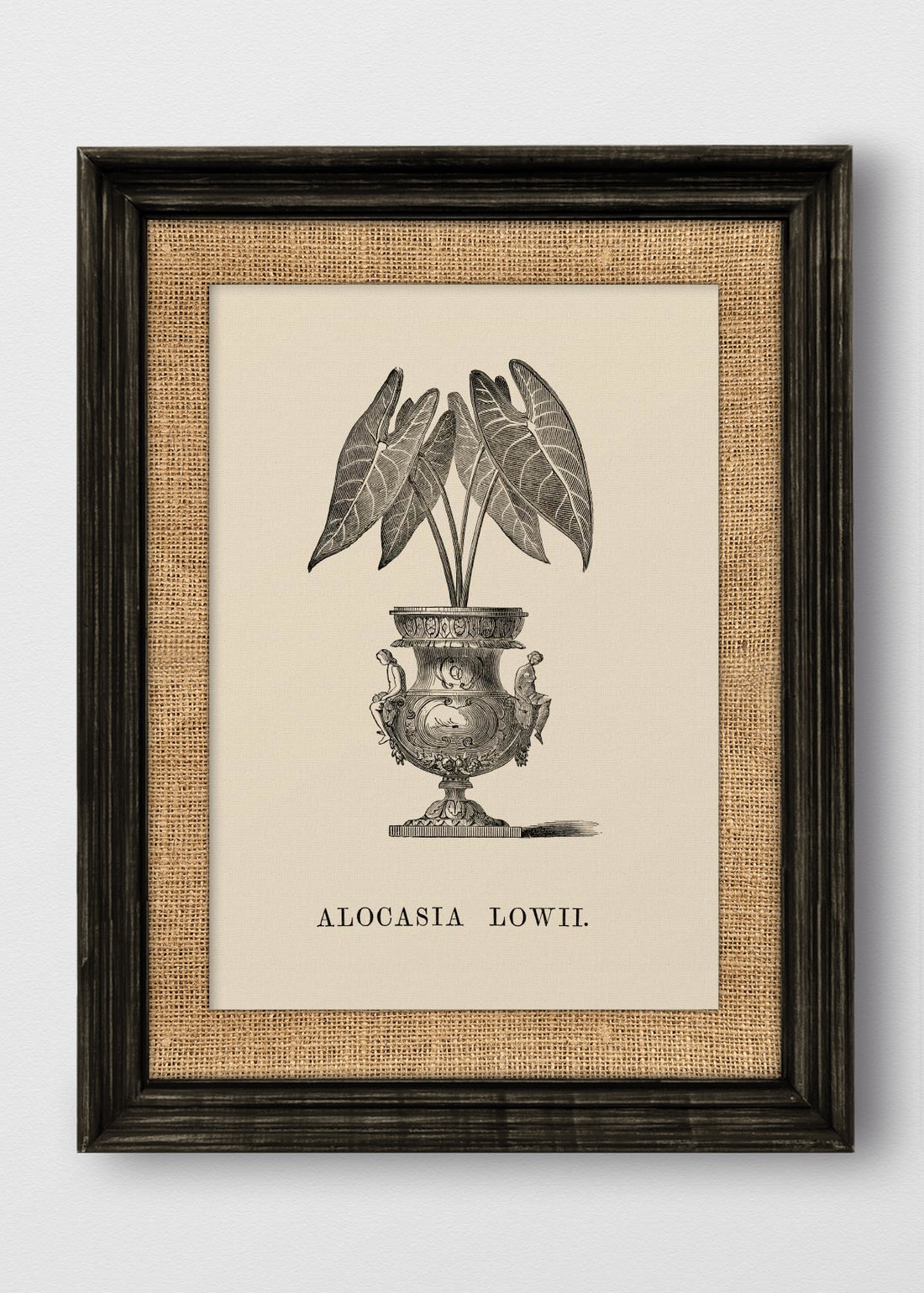 VINTAGE NEGRO ARPILLERA