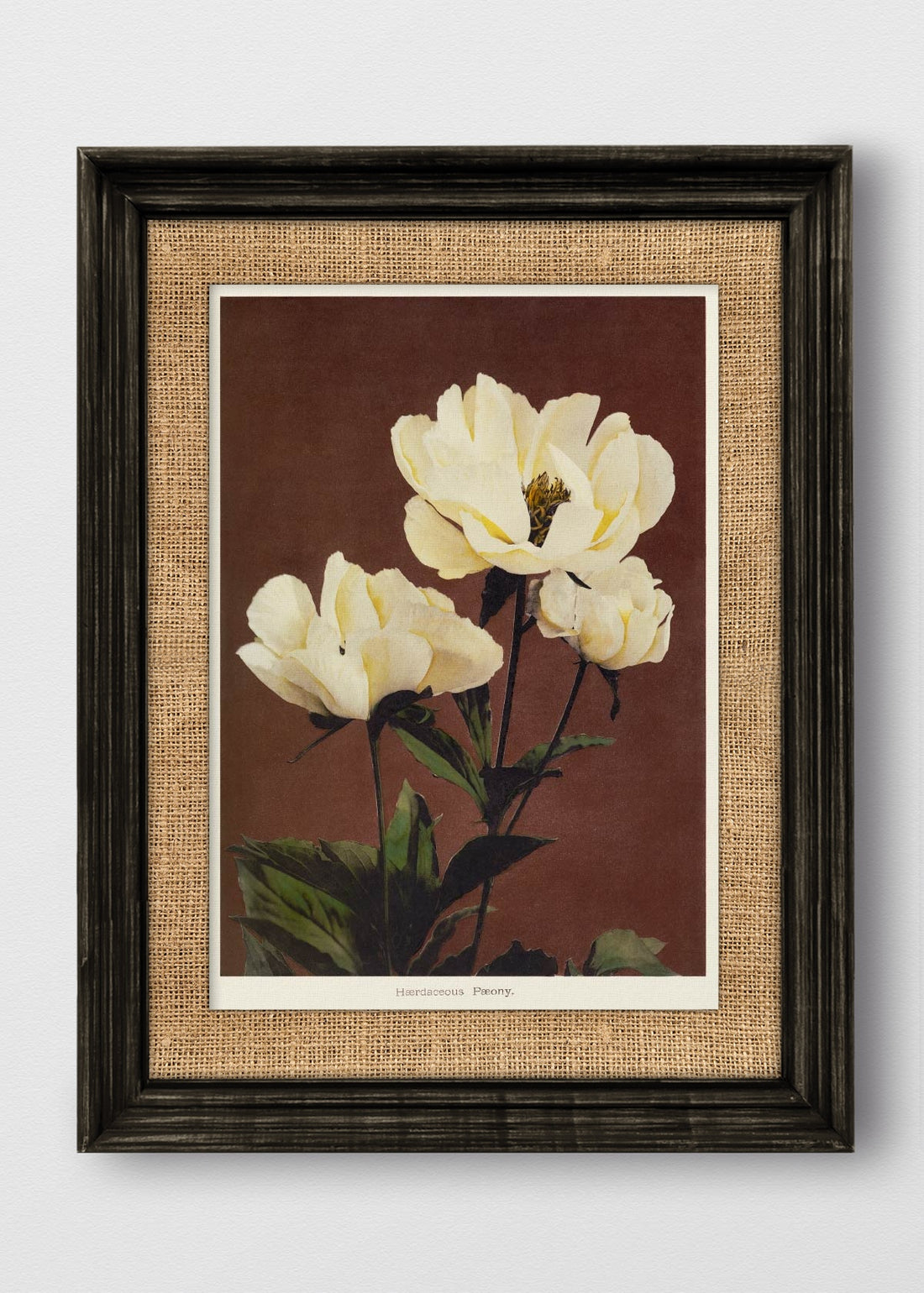 VINTAGE NEGRO ARPILLERA